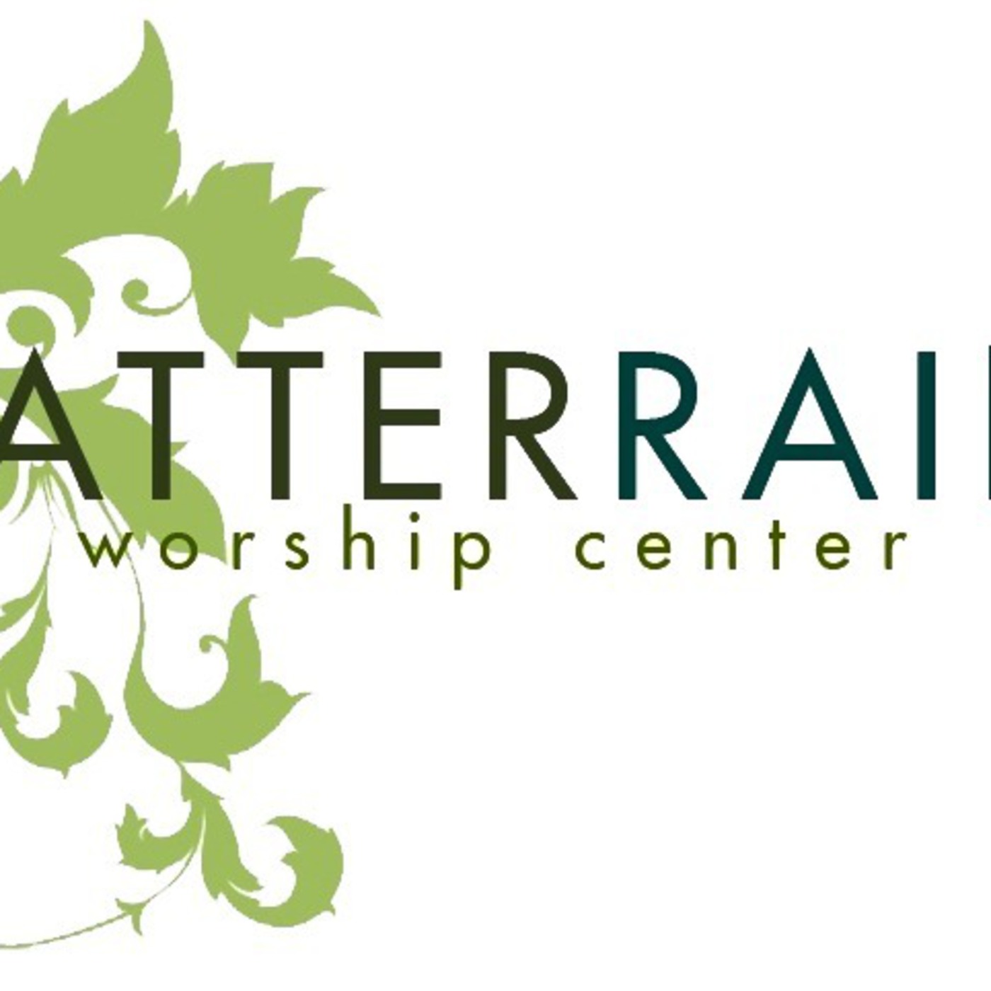 Becoming Spirit Conscious in a Physical World