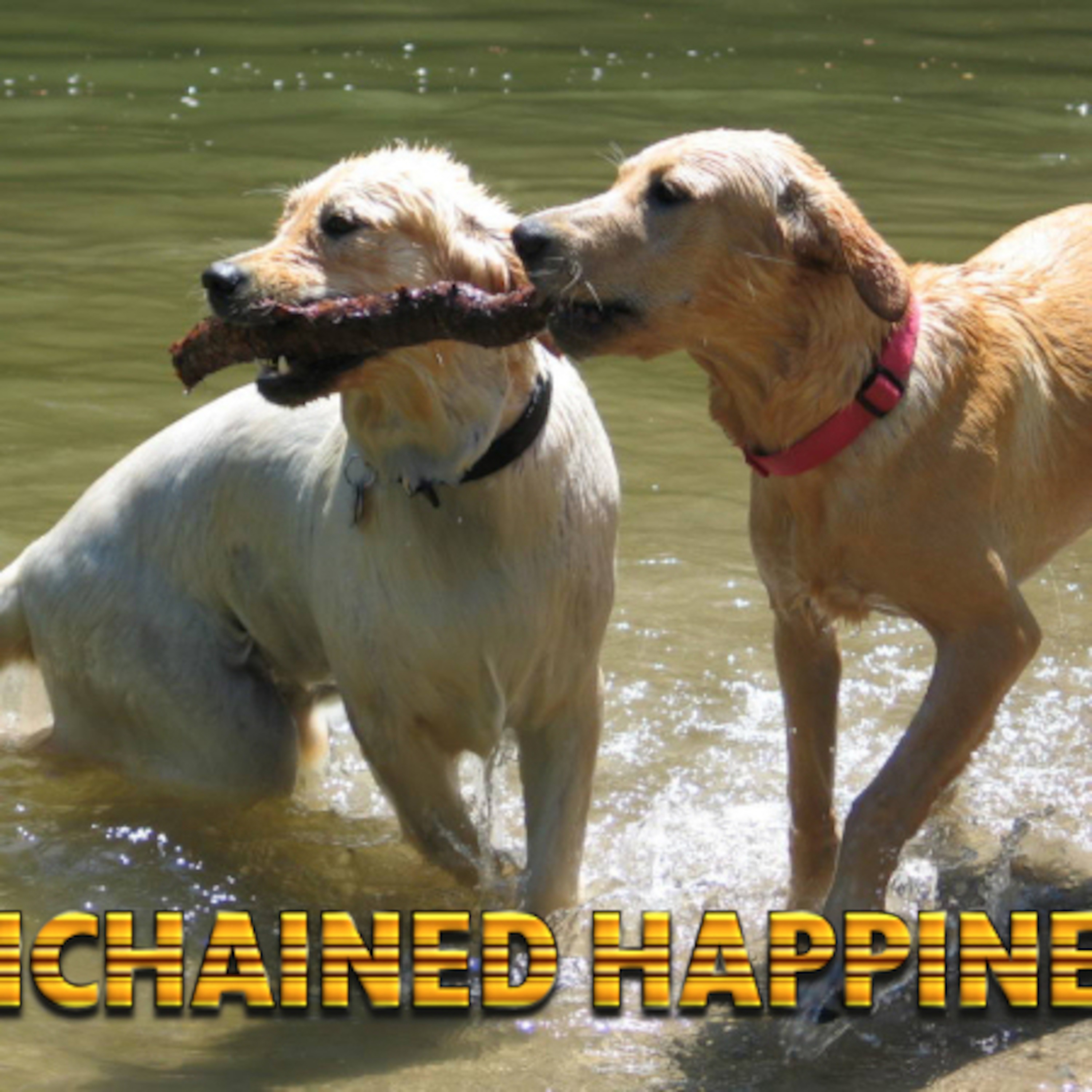Unchained Happiness