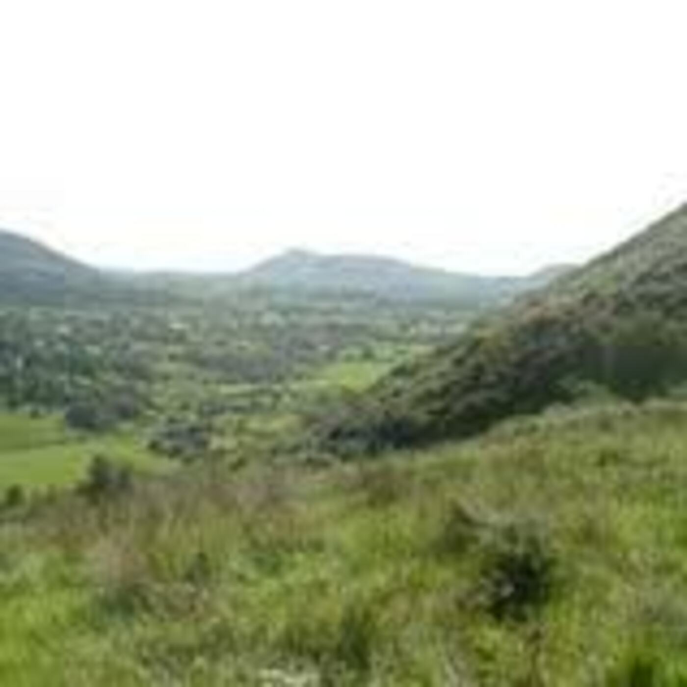 Celtic Roots Craic – Irish Podcast