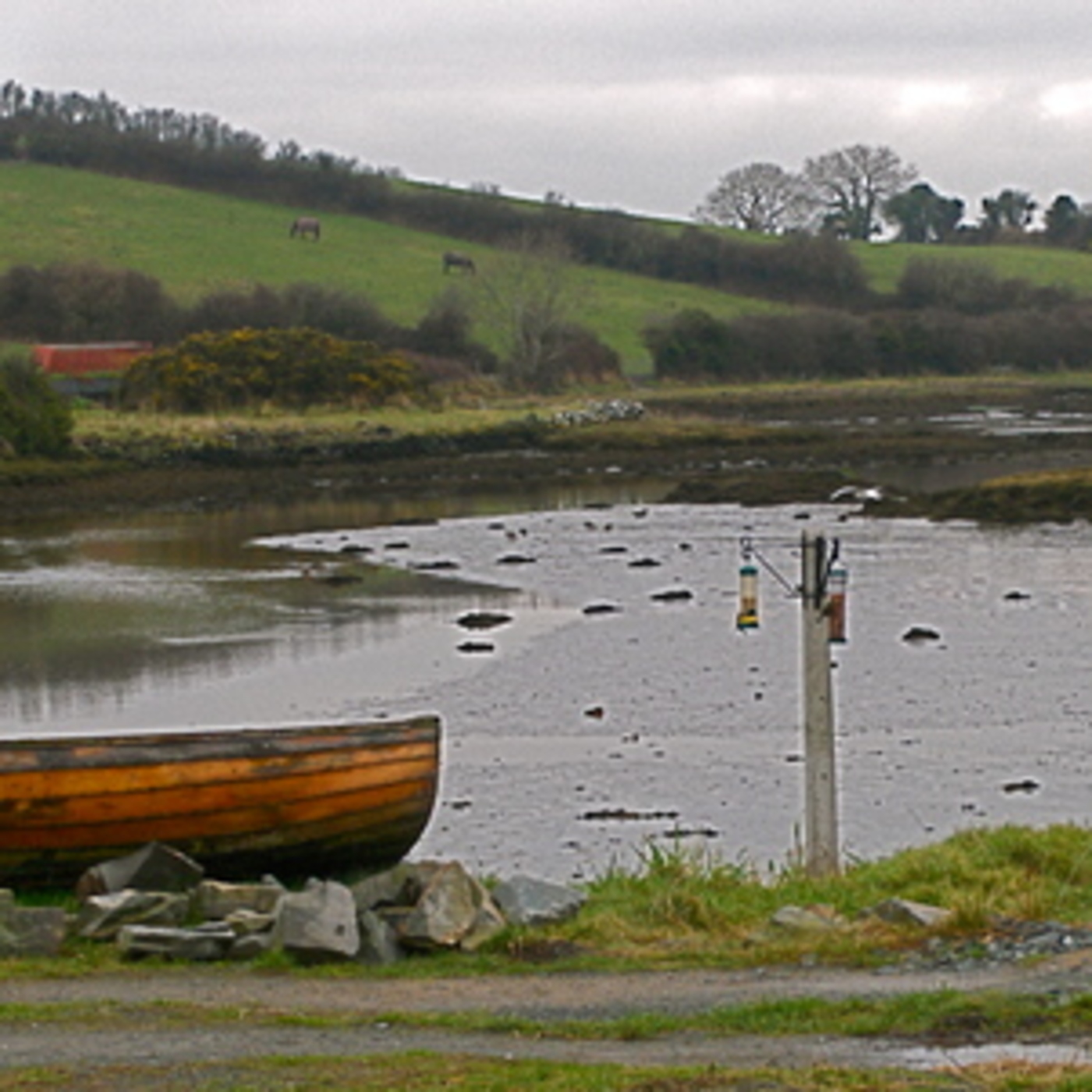 Celtic Roots Craic – Irish Podcast