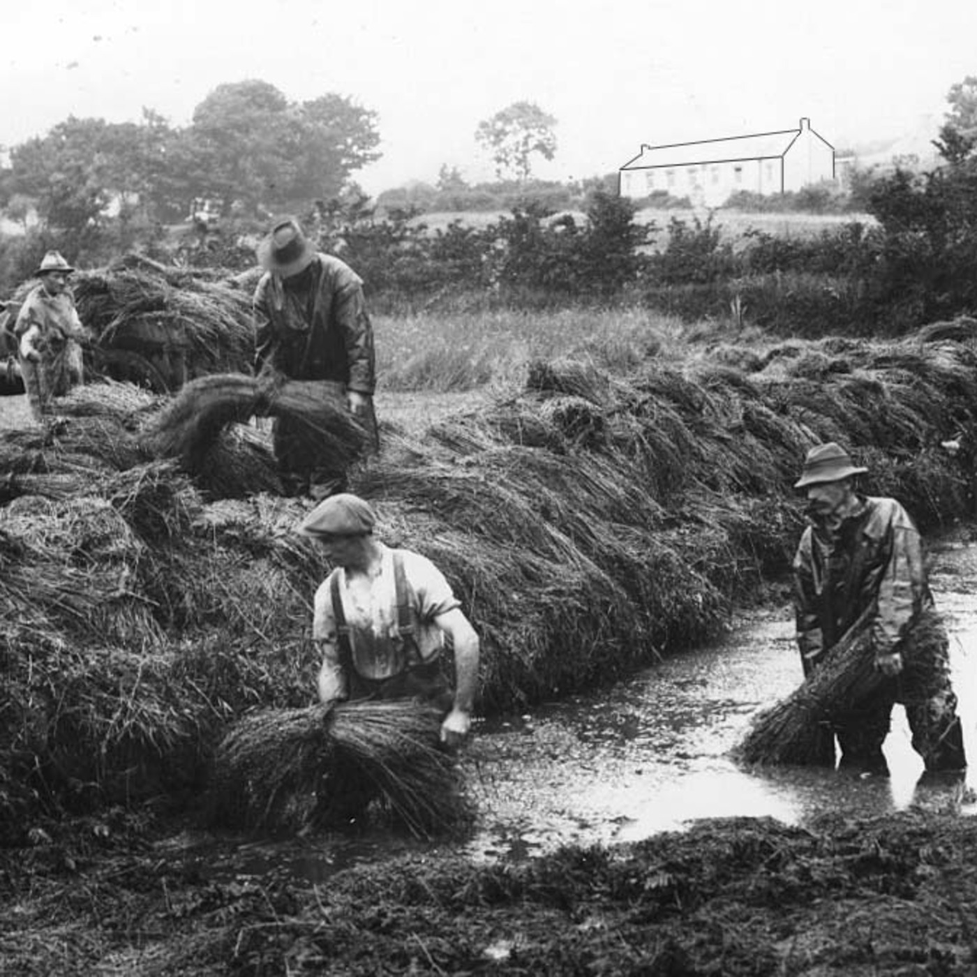 Celtic Roots Craic – Irish Podcast