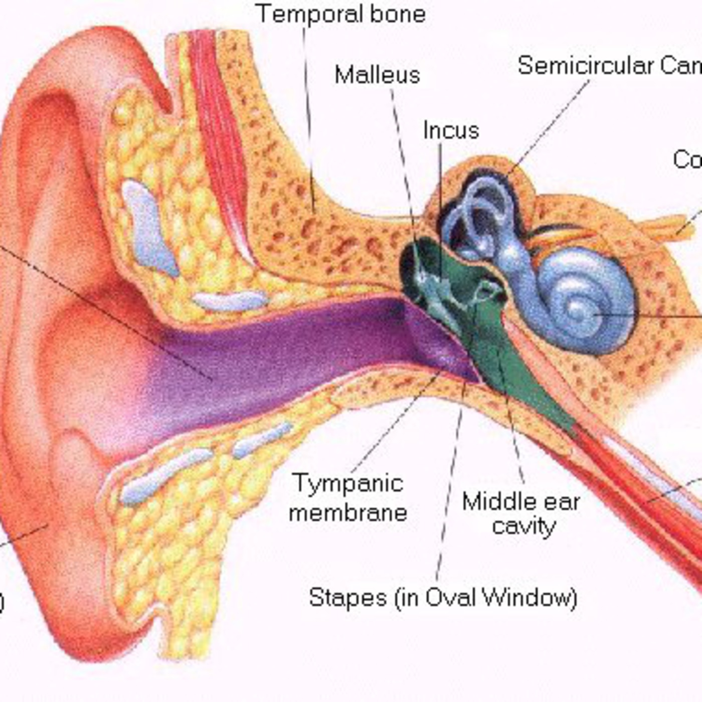 Podcast Group E - Keyback Records With Daquann and Derek - How the Ear Works