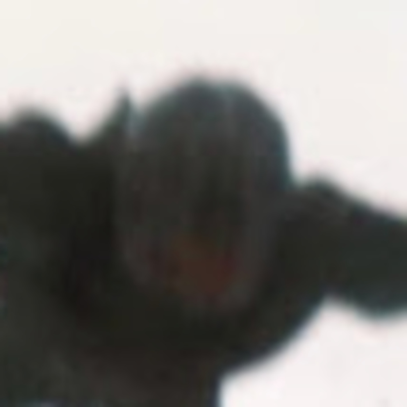 A Monster