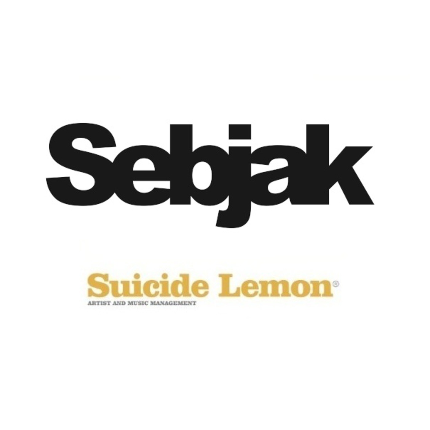 Lemon Sessions #020 SEBJAK (SWE)