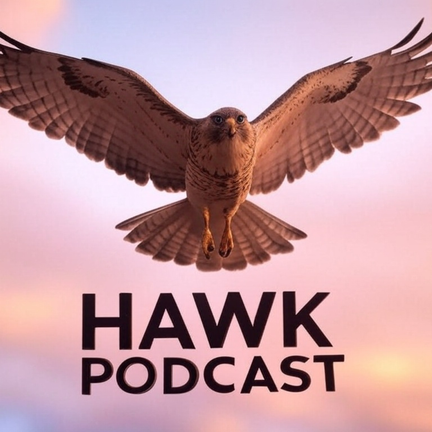 Episode 382: 382 - Choose the LORD JESUS Today - The HAWK