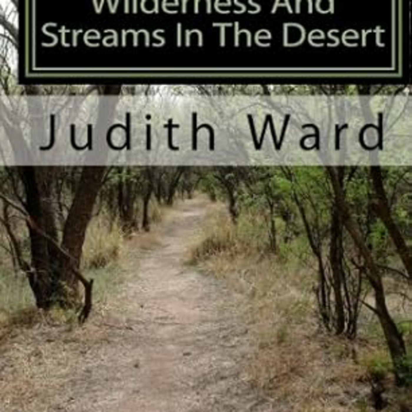 482 - A Way in the Wilderness and Streams in the Desert - Judith Ward