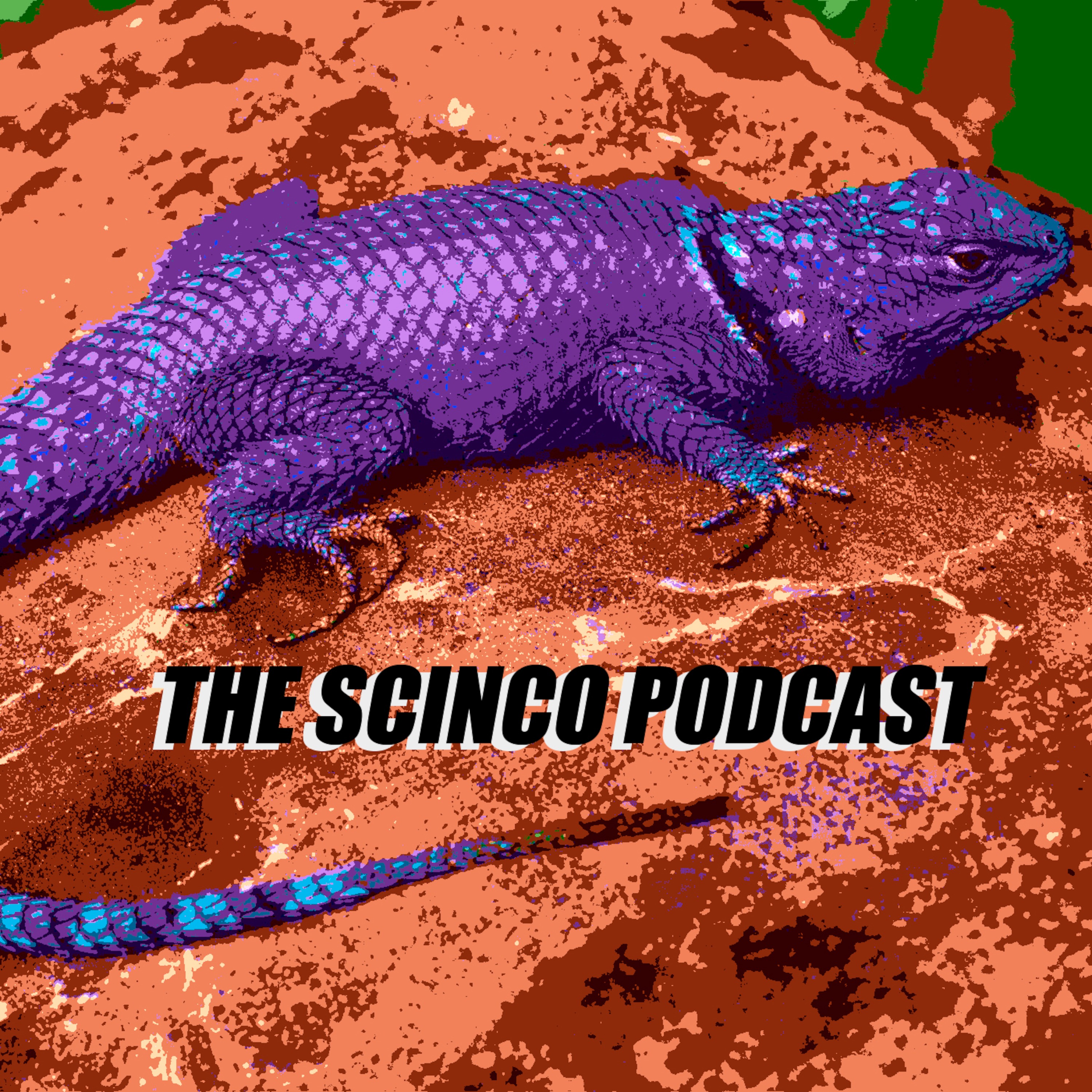 Scinco Podcast