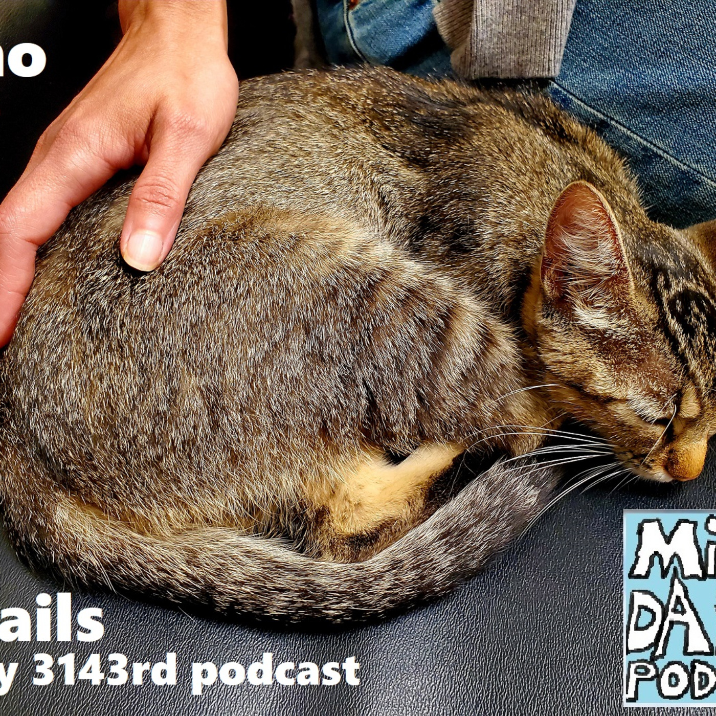 Episode 3143: Cats!