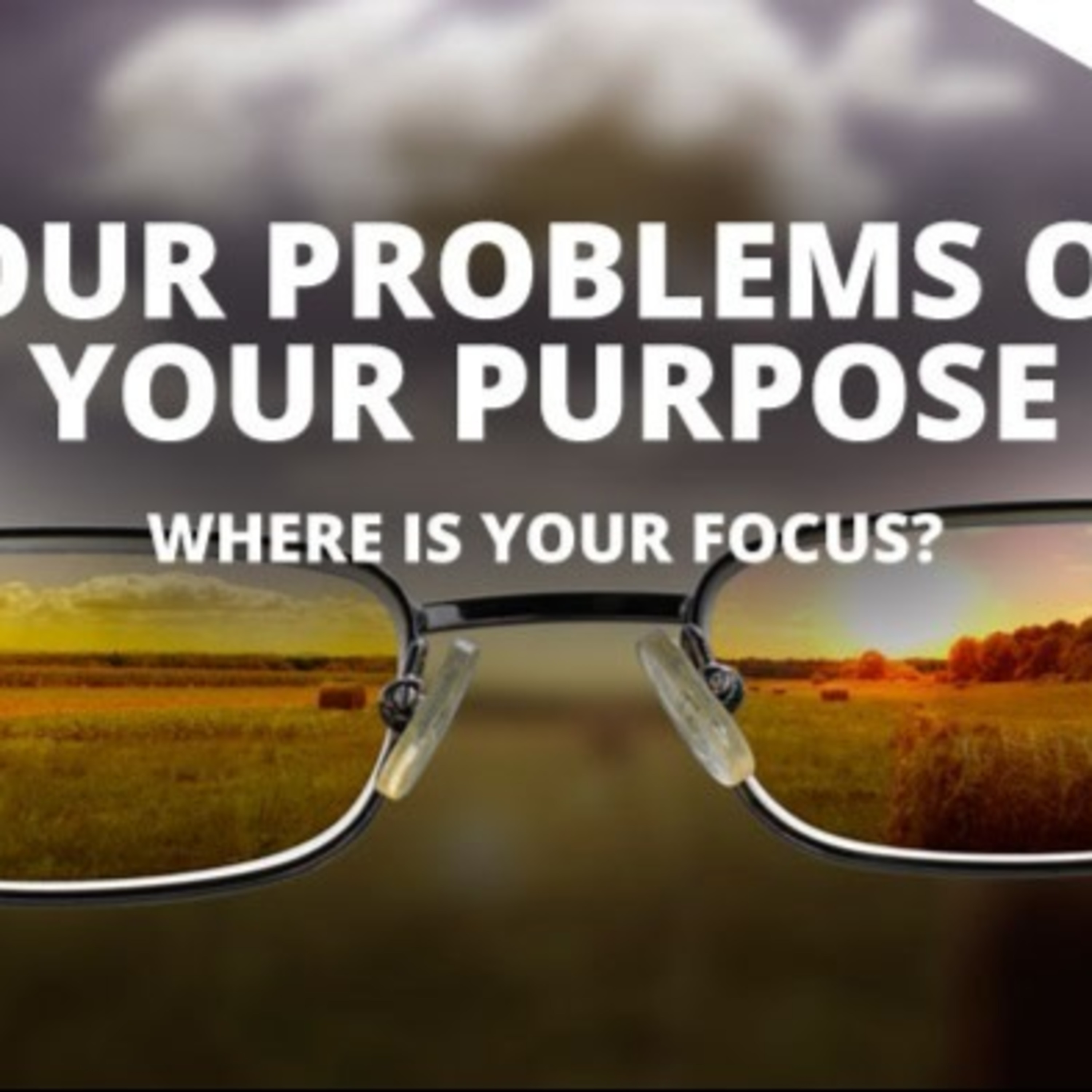 Problems or Purpose episode artwork