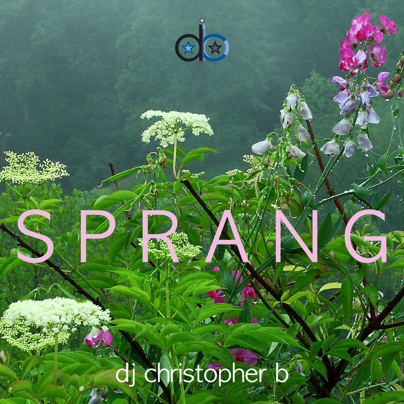 dj christopher b