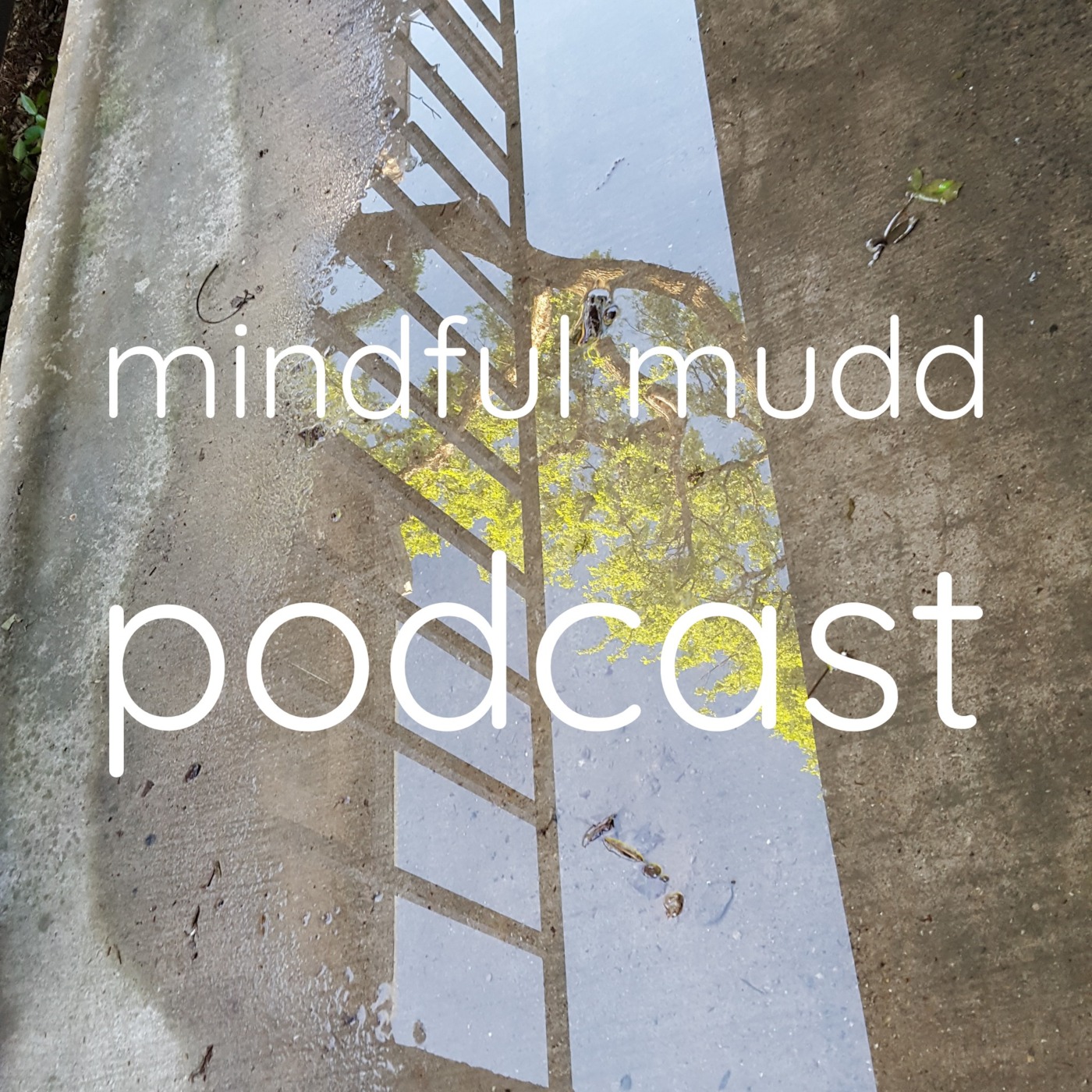 Mindful Mudd