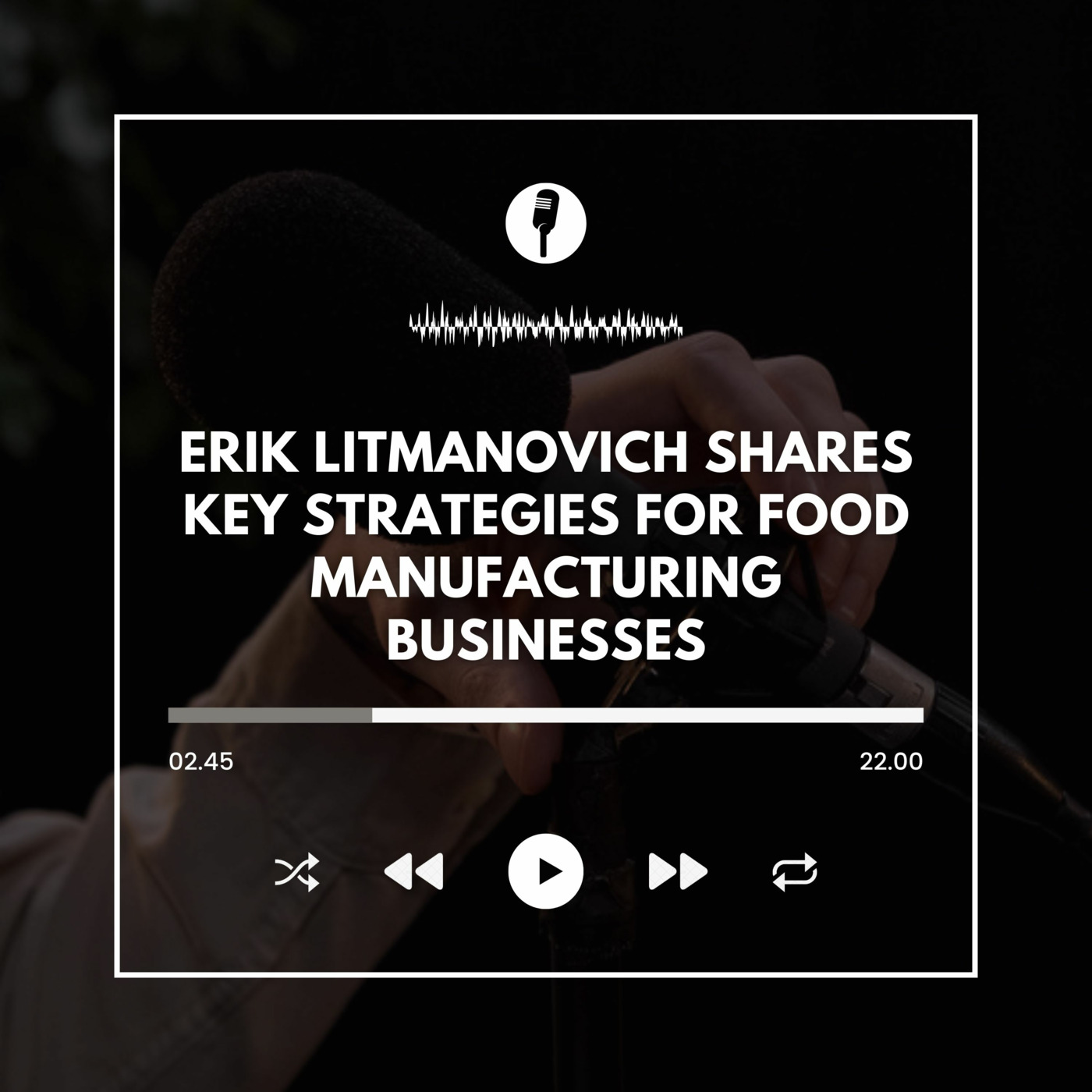 Erik Litmanovich Shares Key Strategies for Food Manufacturing Businesses episode artwork