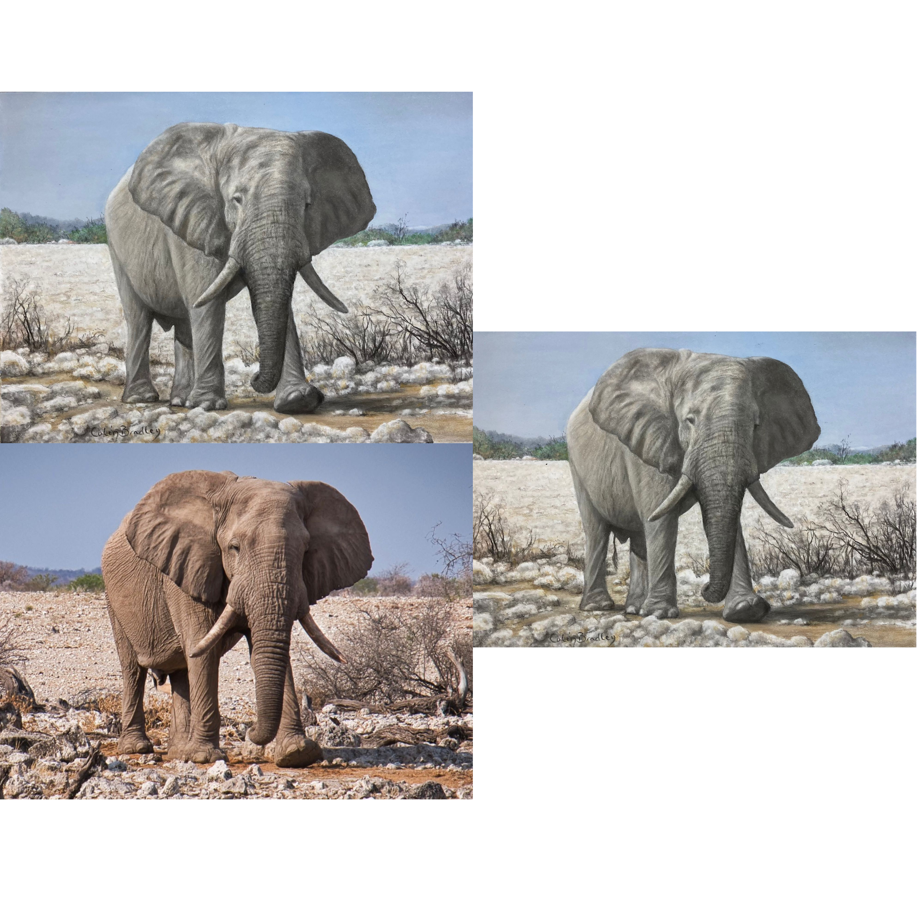 Episode 392: Completed Elephant Picture