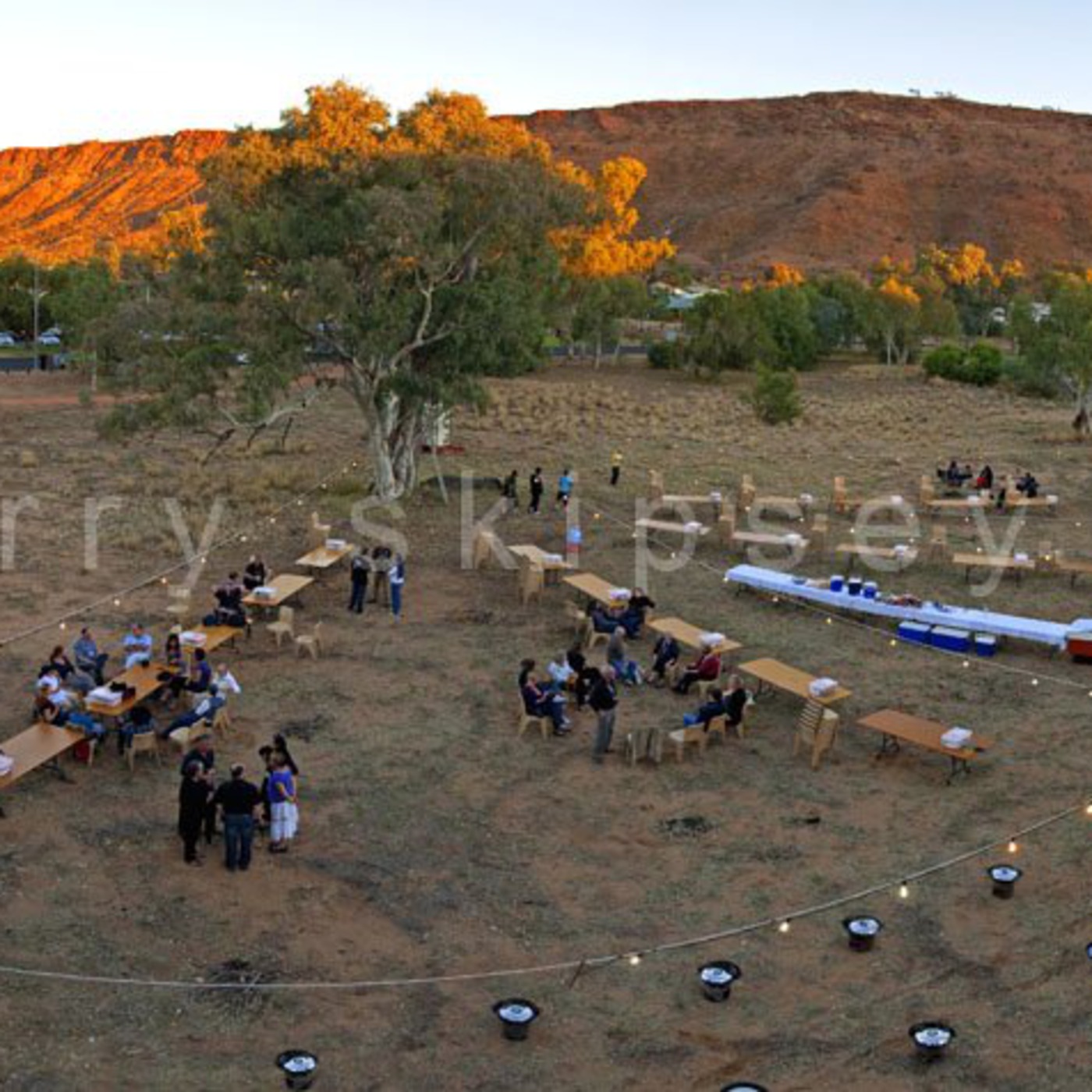Local Produce Network - Roy Price, Bushwok, Central Australia