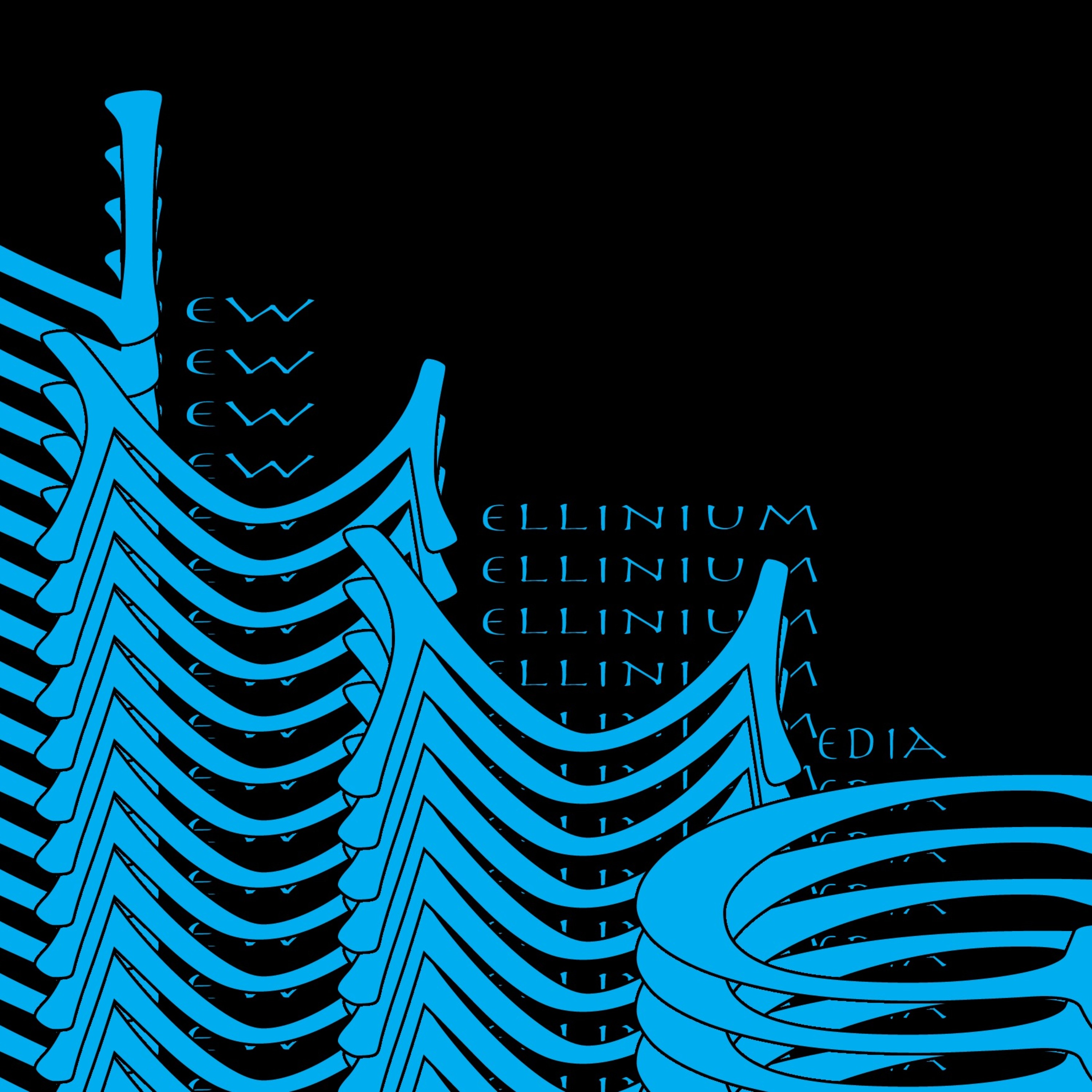 New Millennium Media Group
