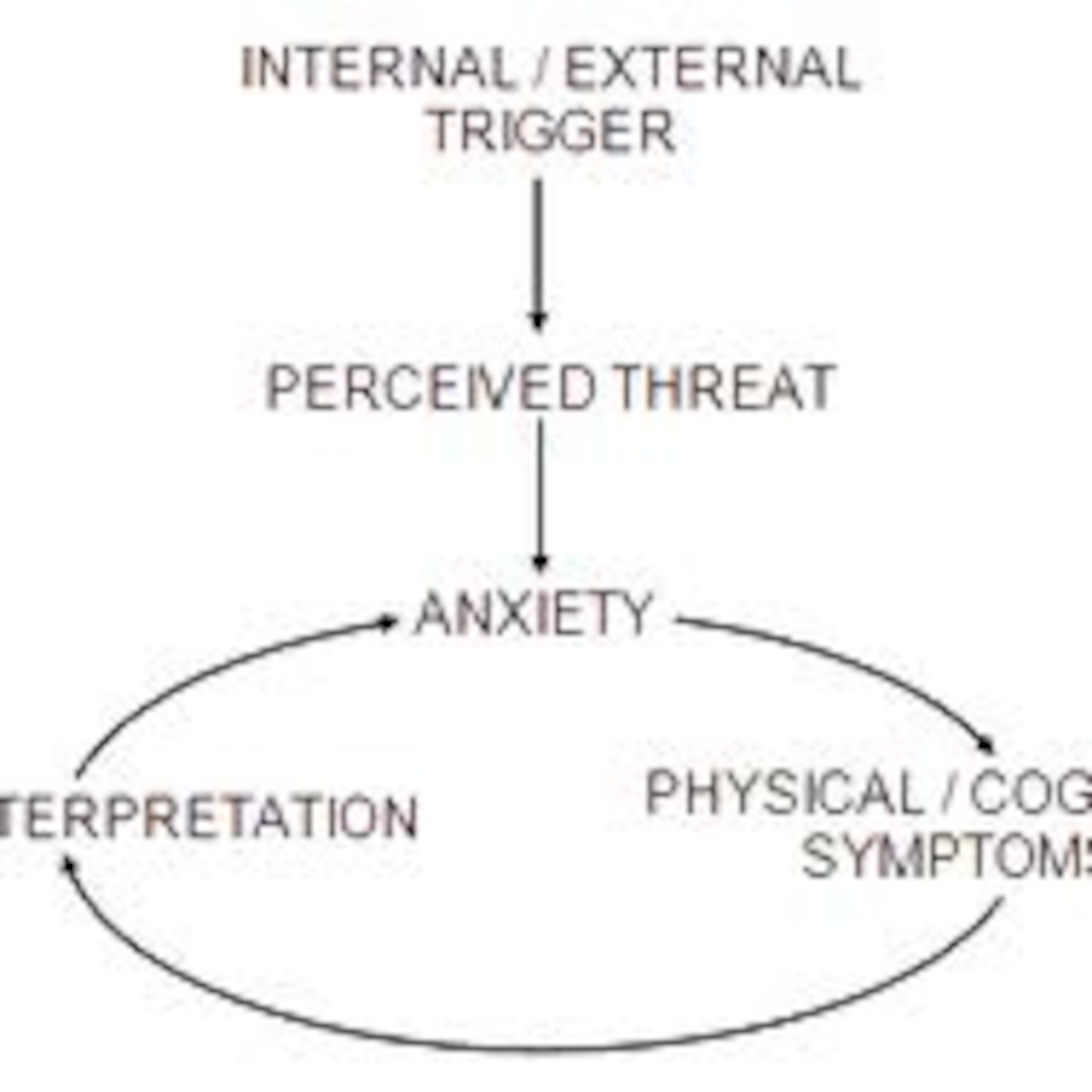 Cognitive and Behaviour models for development of anxiety disorder - VCE U4 Psych AOS2