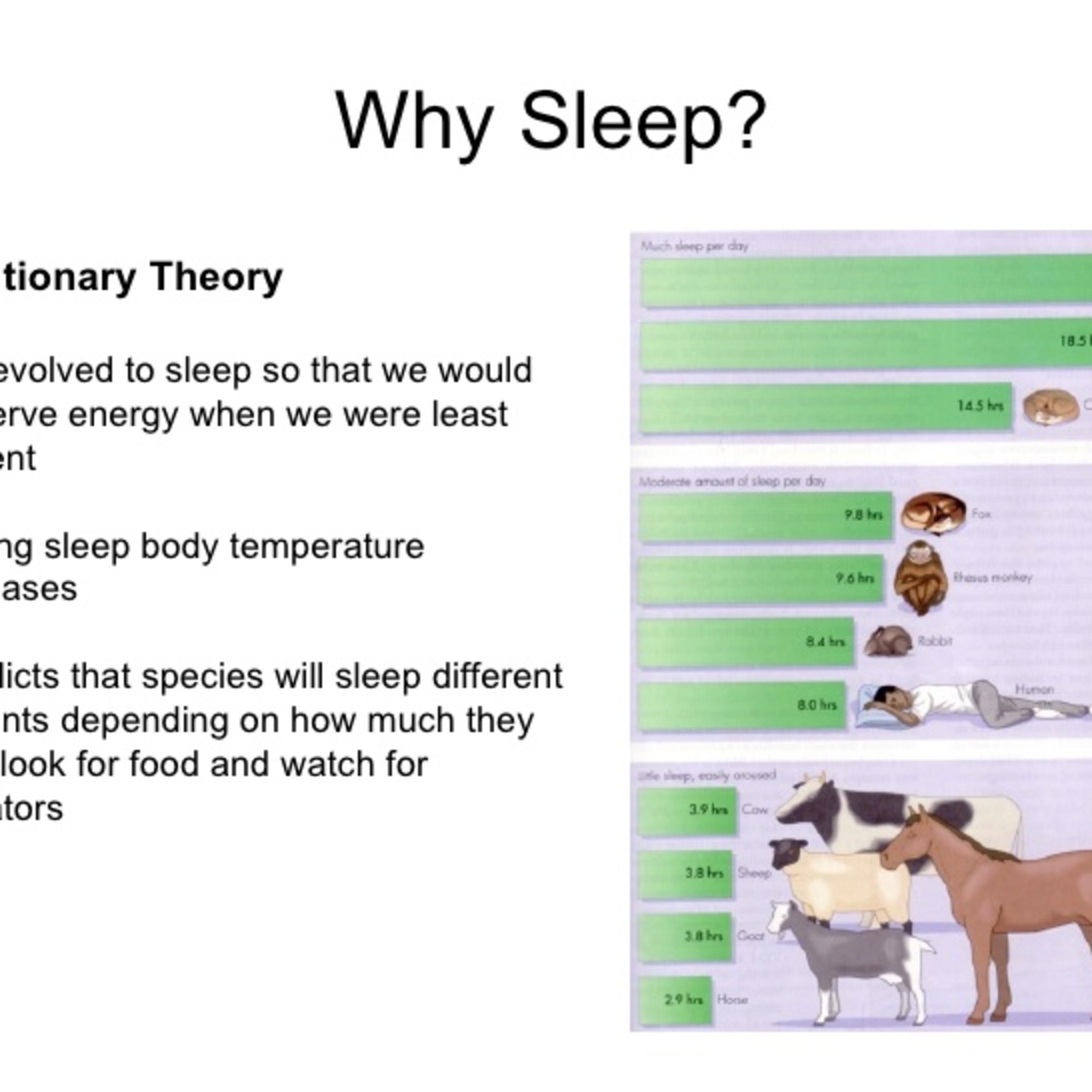 Transtheoretical model an overview