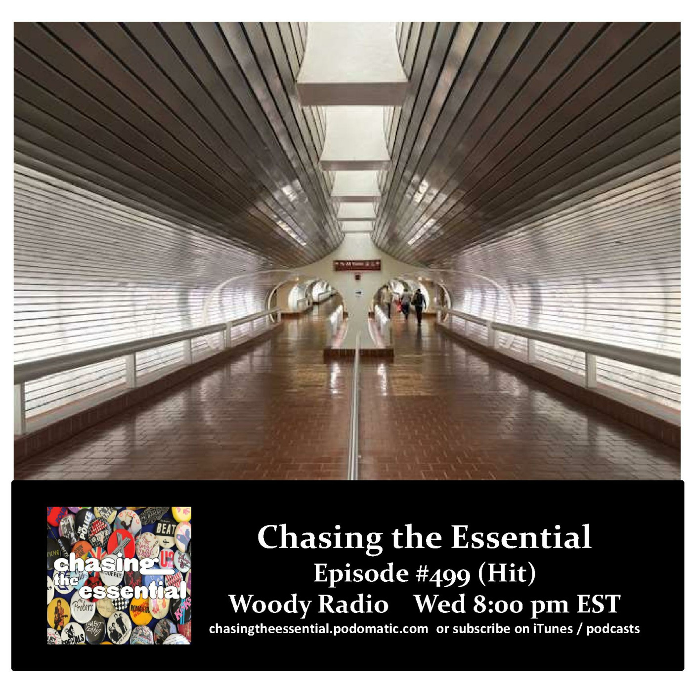 Episode 261: Chasing the Essential - Episode # 499 (Hit)