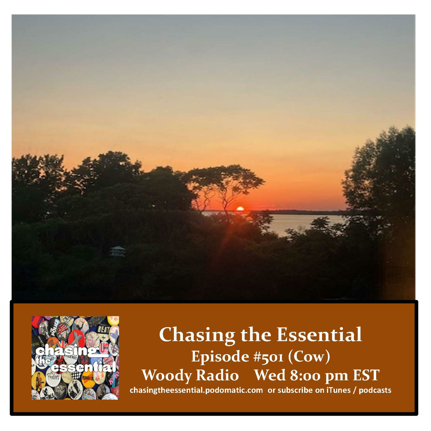 Episode 263: Chasing the Essential - Episode # 501 (Cow)