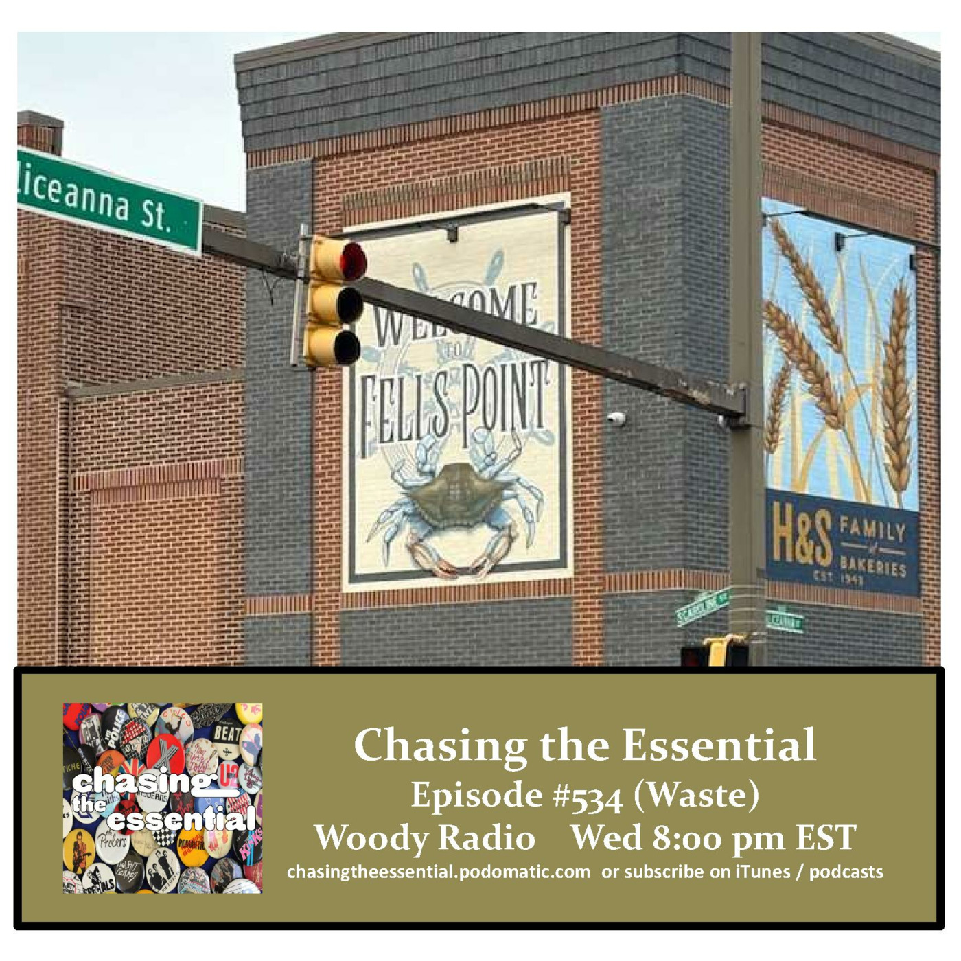 Episode 296: Chasing the Essential - Episode # 534 (Waste) episode artwork