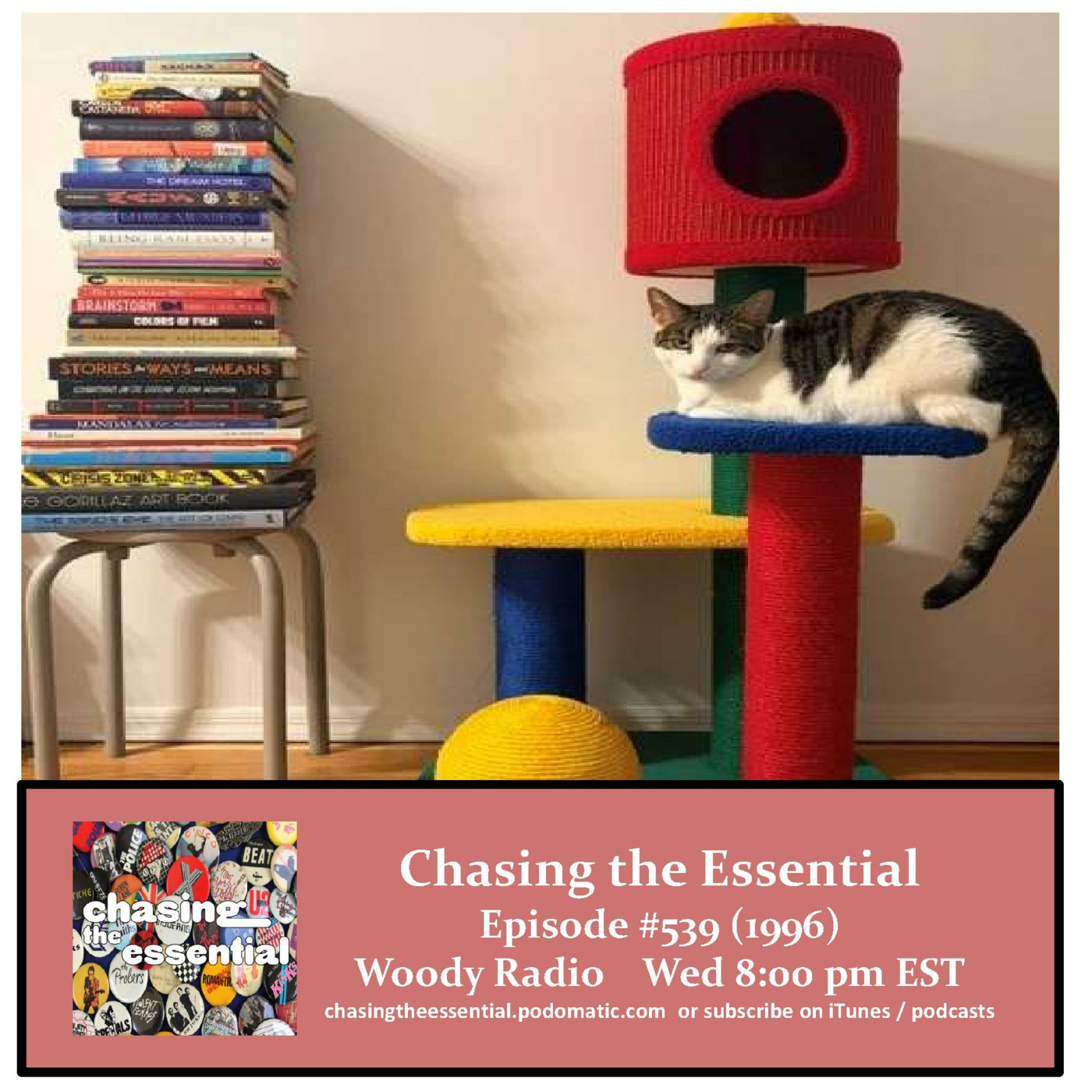 Episode 301: Chasing the Essential - Episode # 539 (1996) episode artwork