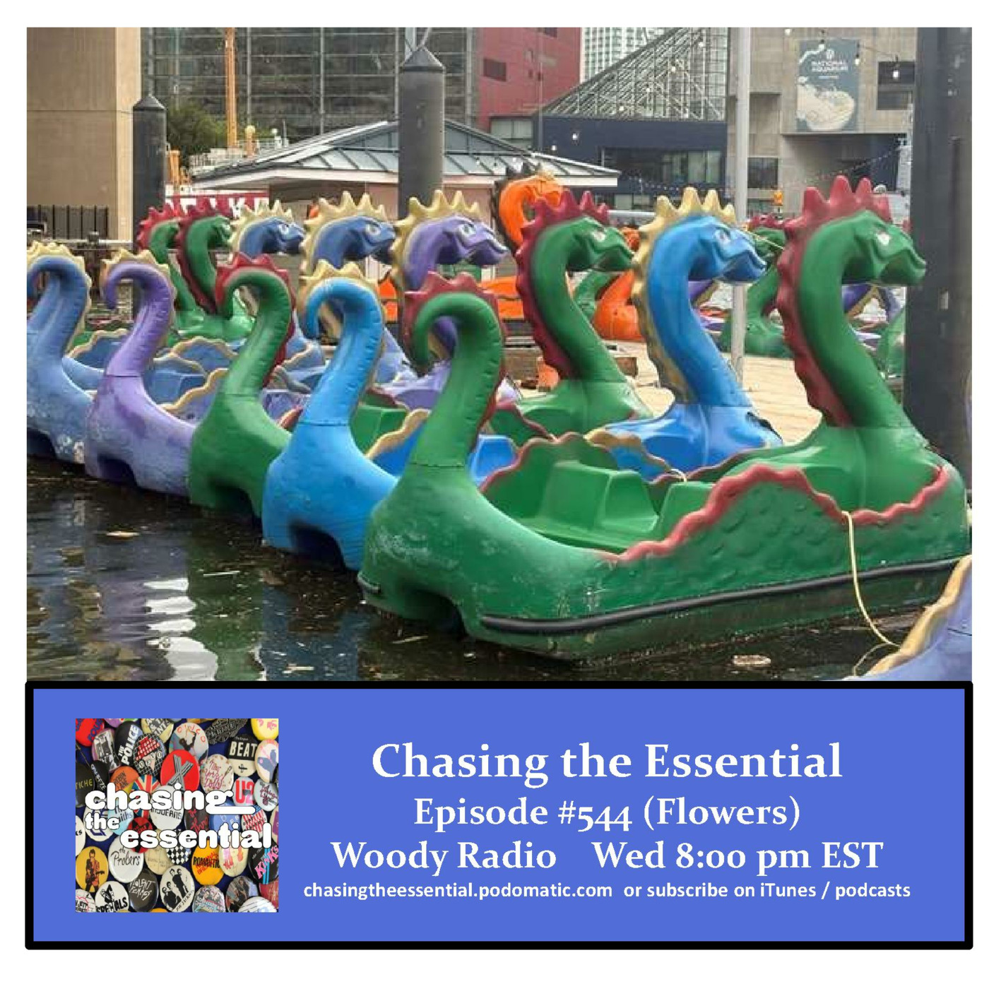 Episode 306: Chasing the Essential - Episode # 543 (Flowers) episode artwork