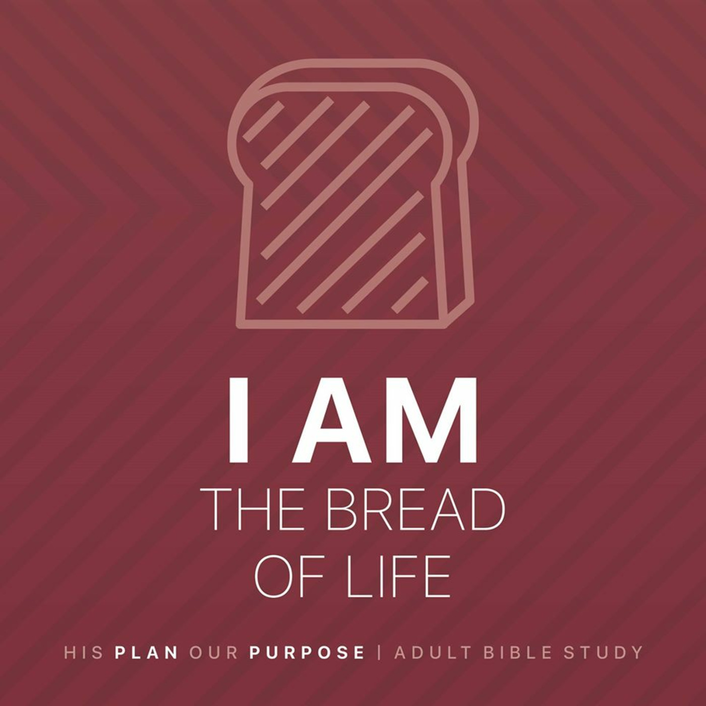 Life & The Bible