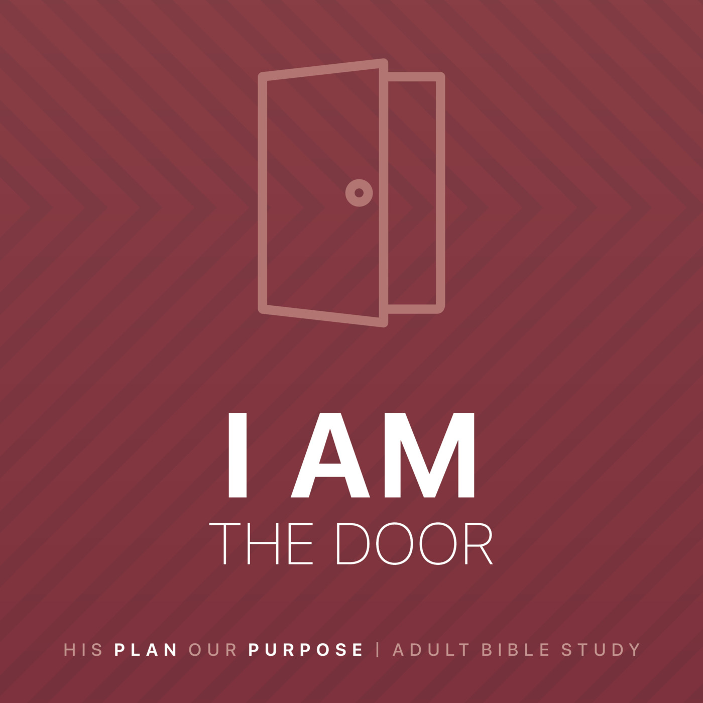 Life & The Bible