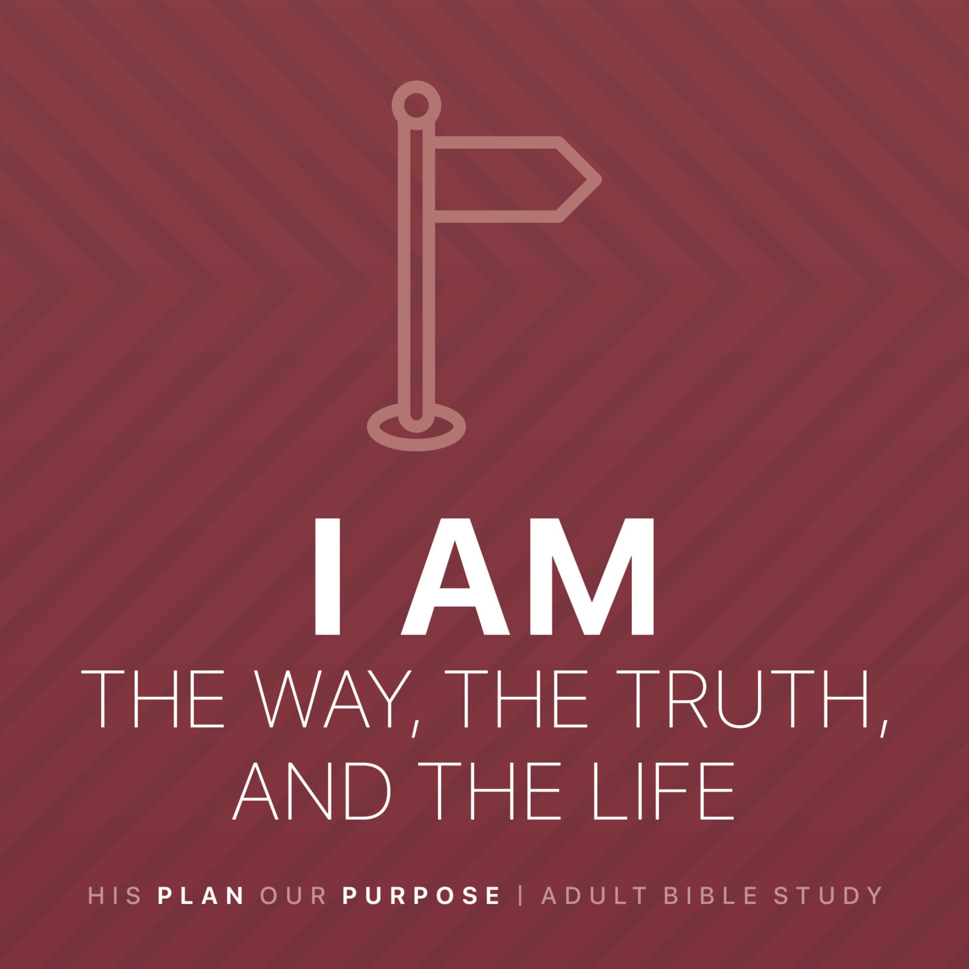 Life & The Bible
