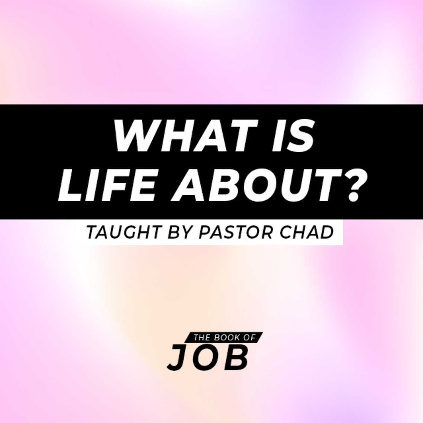 Episode 1: What is Life About? | Ecclesiastes 12 episode artwork
