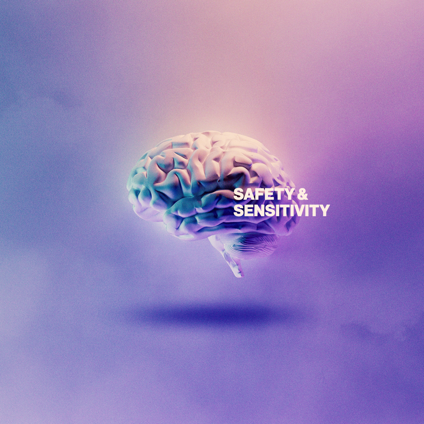 Episode 1: Safety & Sensitivity | Leadership Talk episode artwork
