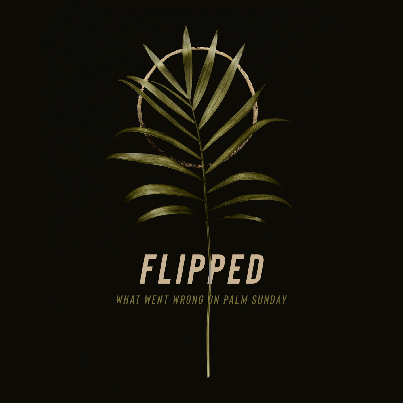 Episode 1: Flipped | What Went Wrong On Palm Sunday episode artwork