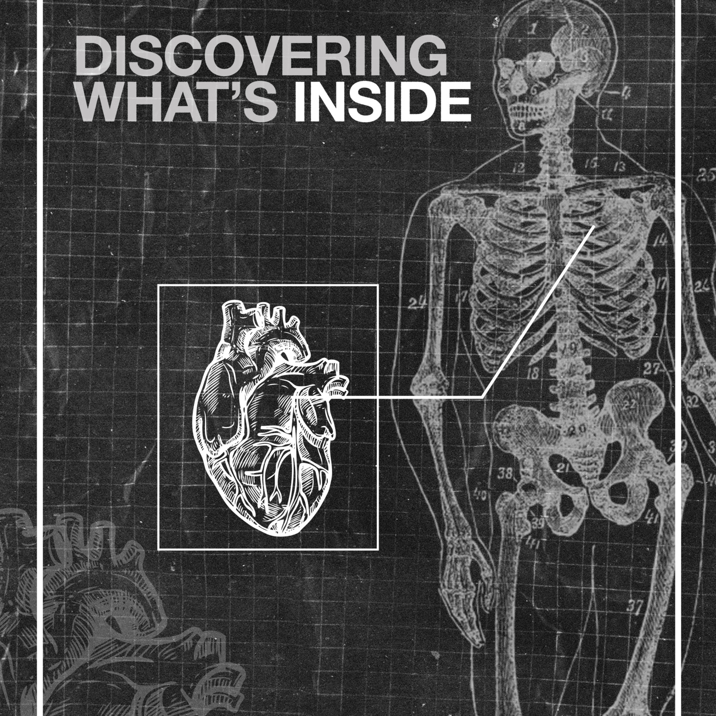 Episode 1: Discovering What's Inside episode artwork