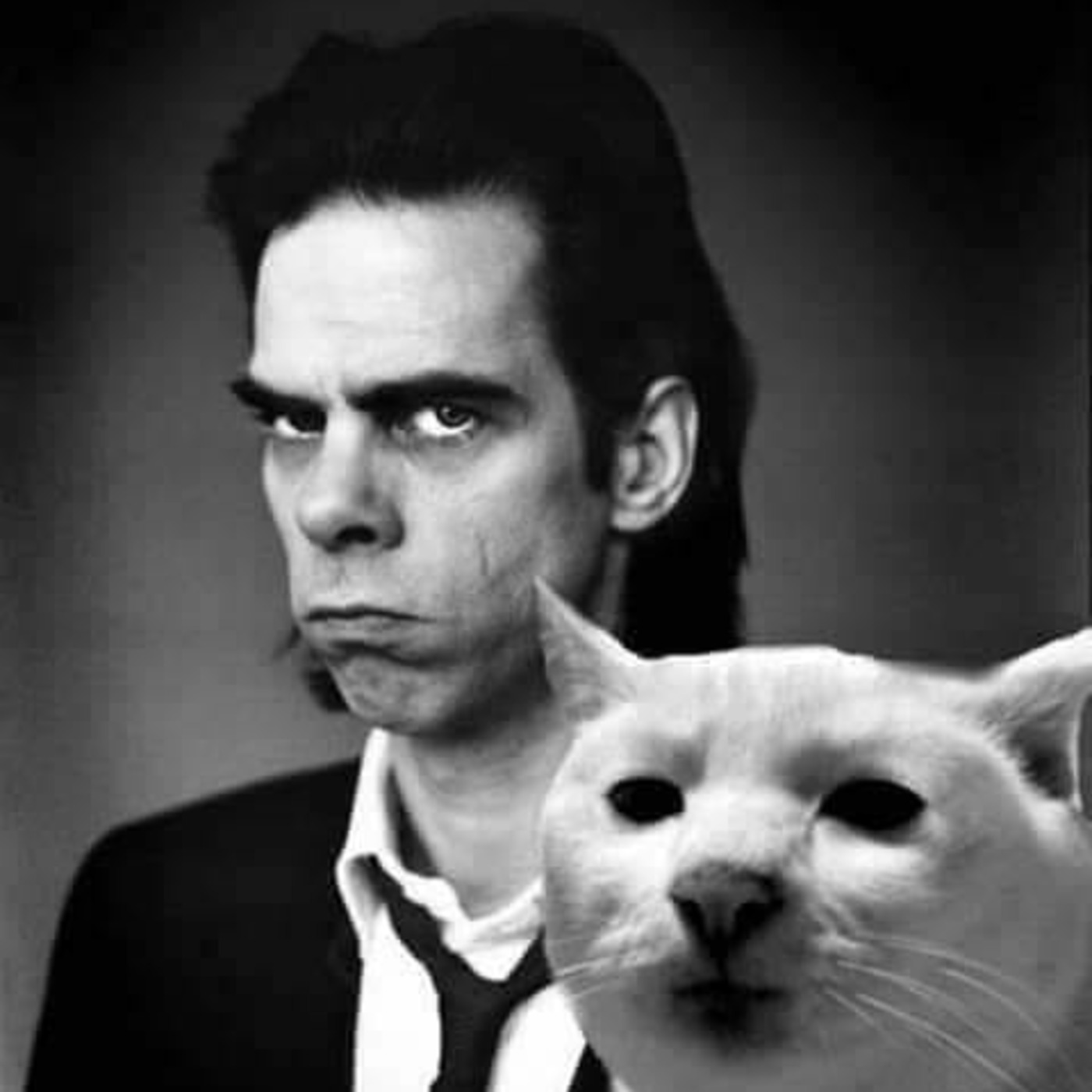 Cat Beast Party