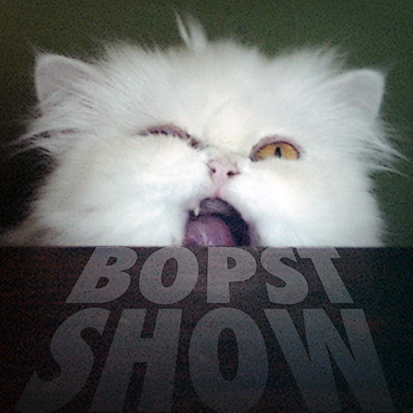 Bopst Show