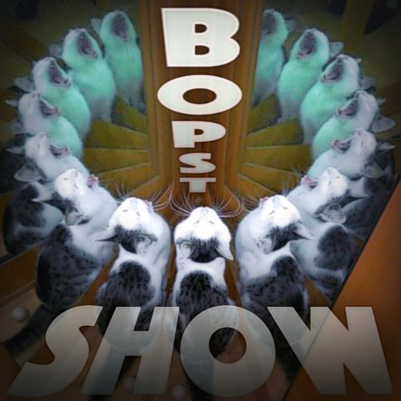 Bopst Show
