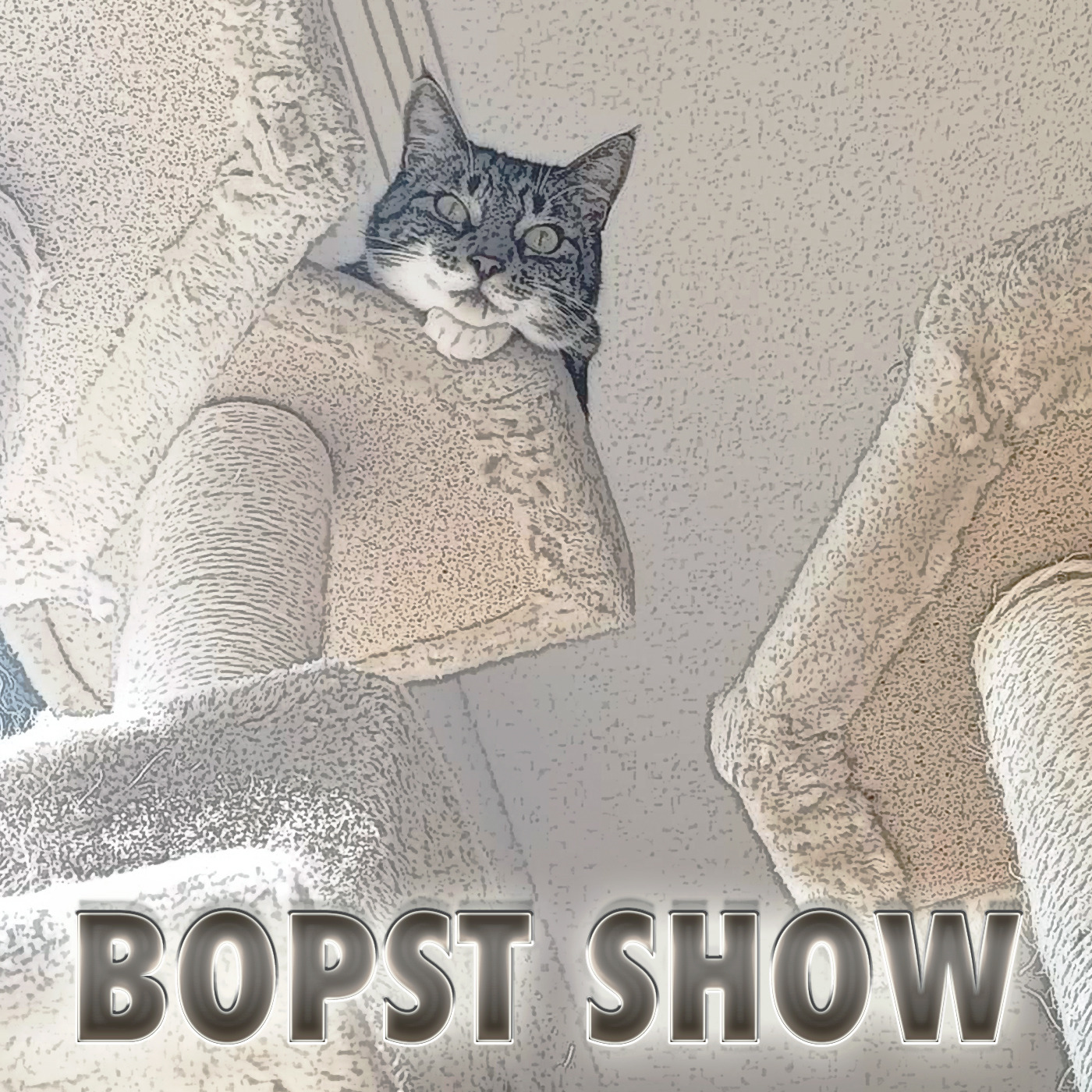 Bopst Show