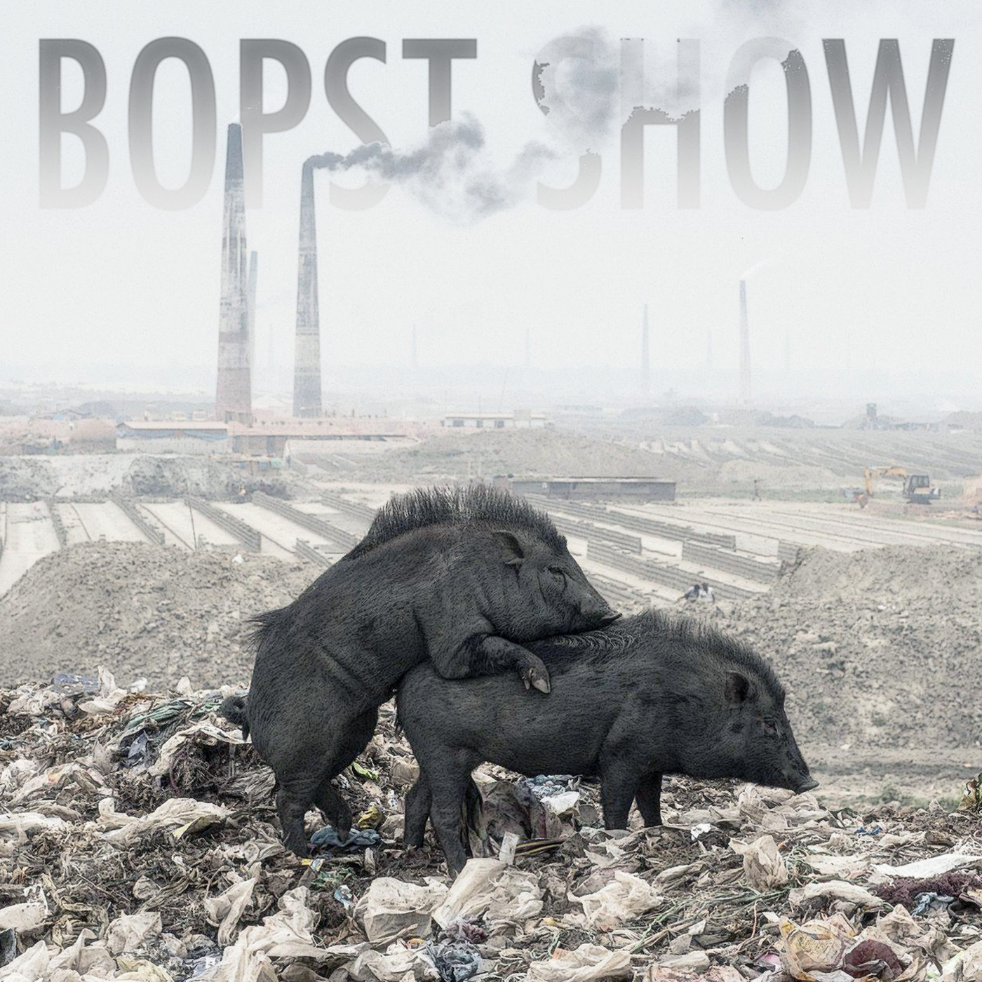 Bopst Show