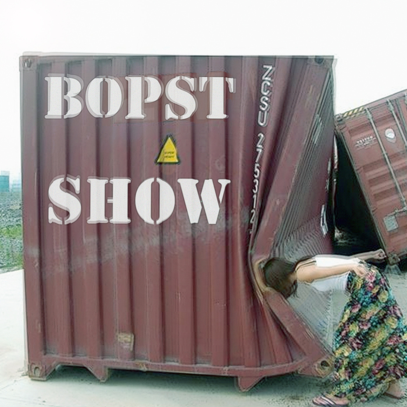 Bopst Show