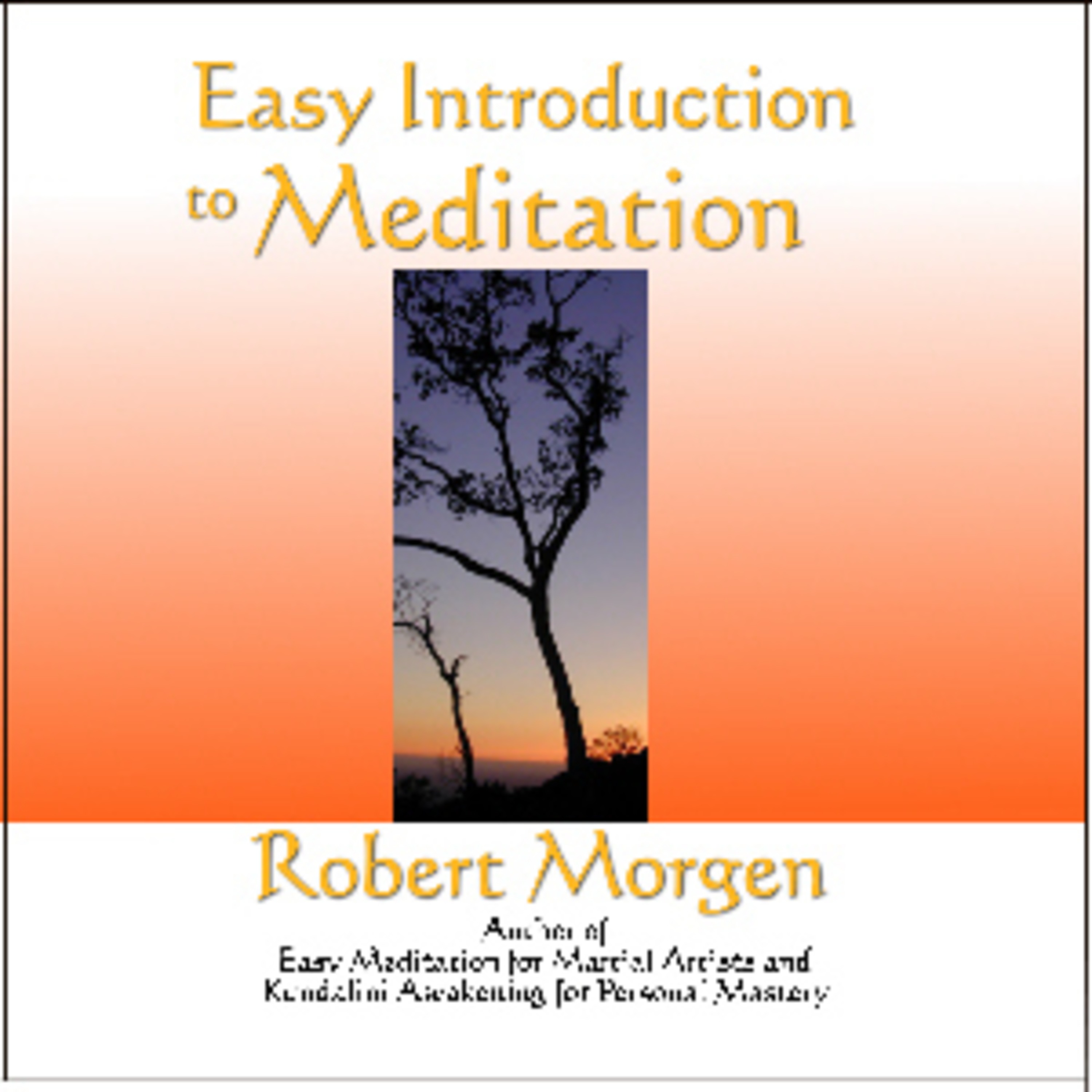 Introduction and Concepts of Meditation episode artwork