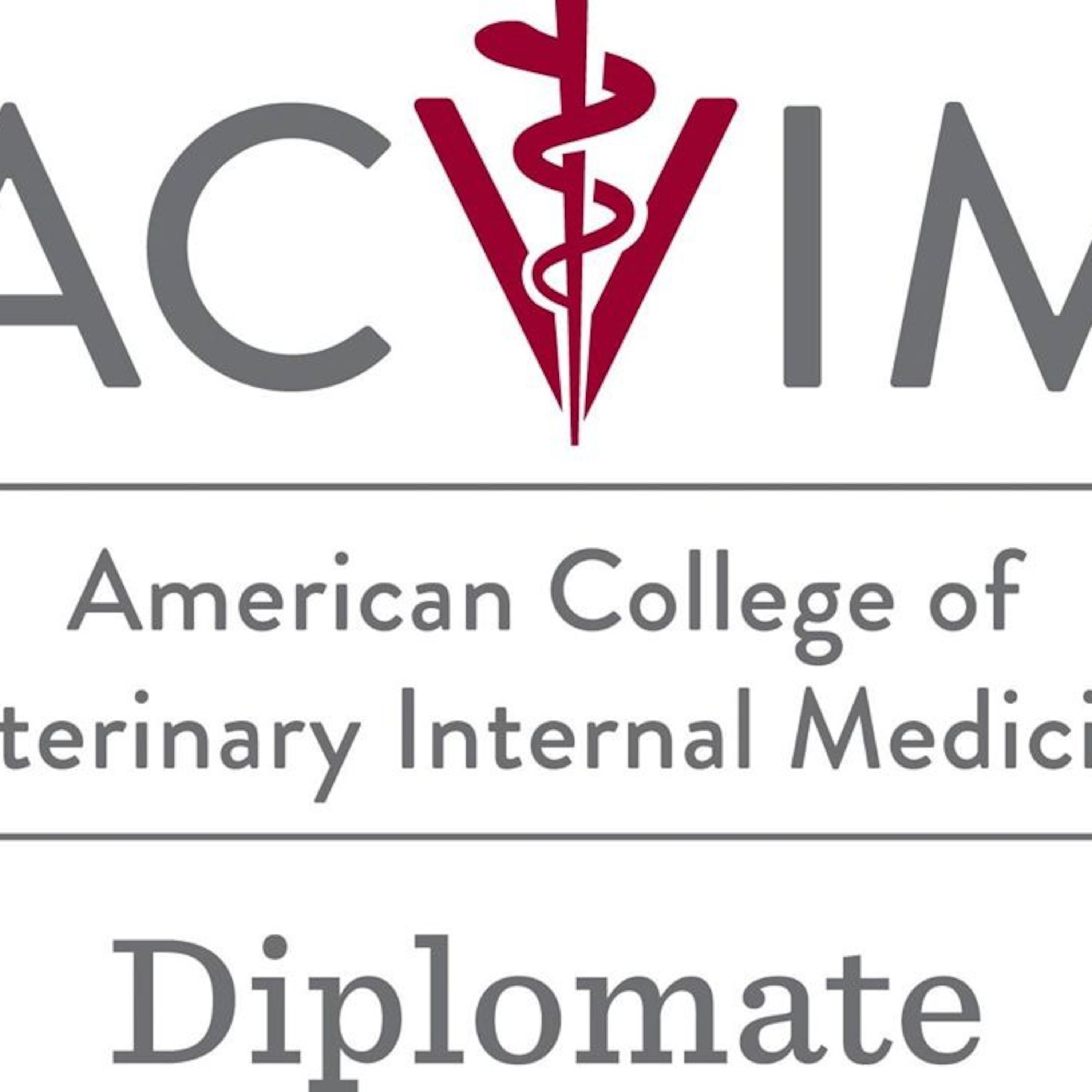 Qual é a especialidade que trata do doente ao invés da doença?