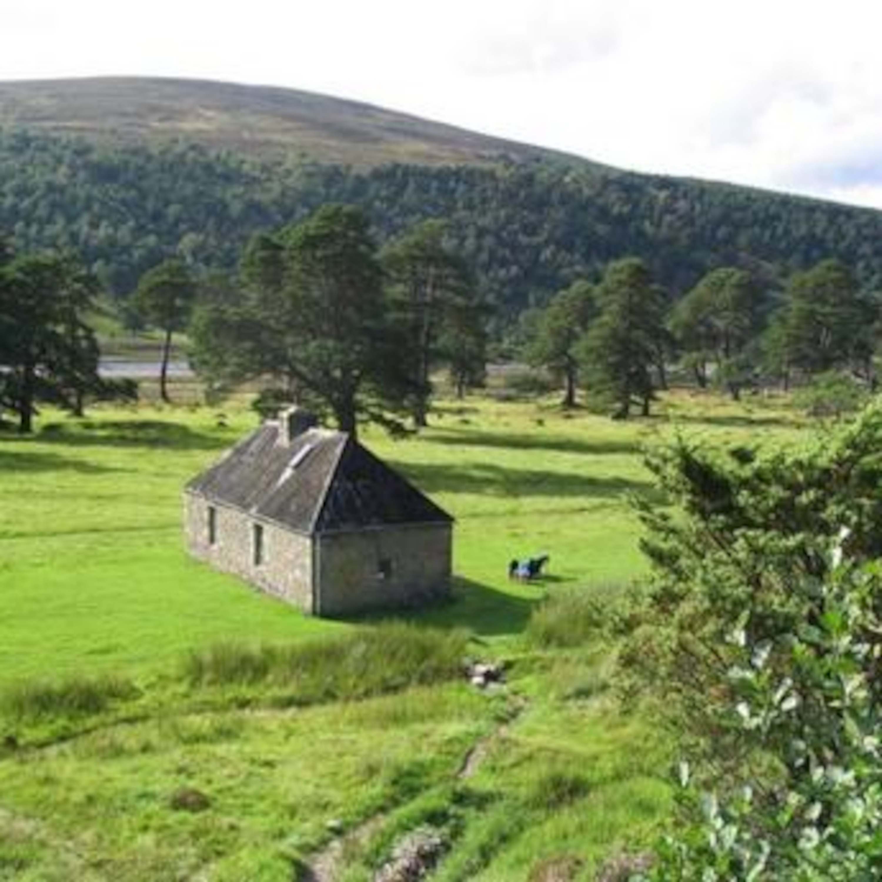 the bothy song episode artwork