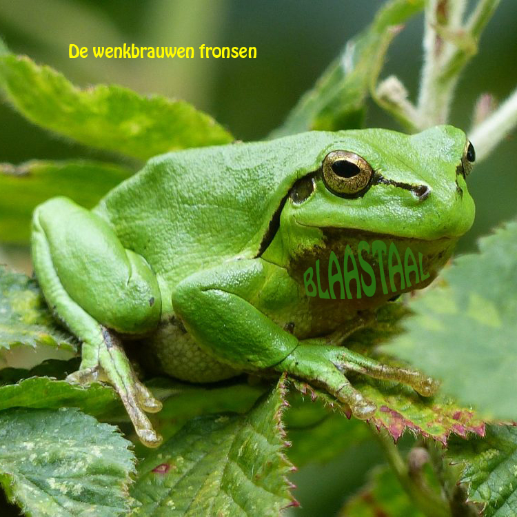 Blaastaal