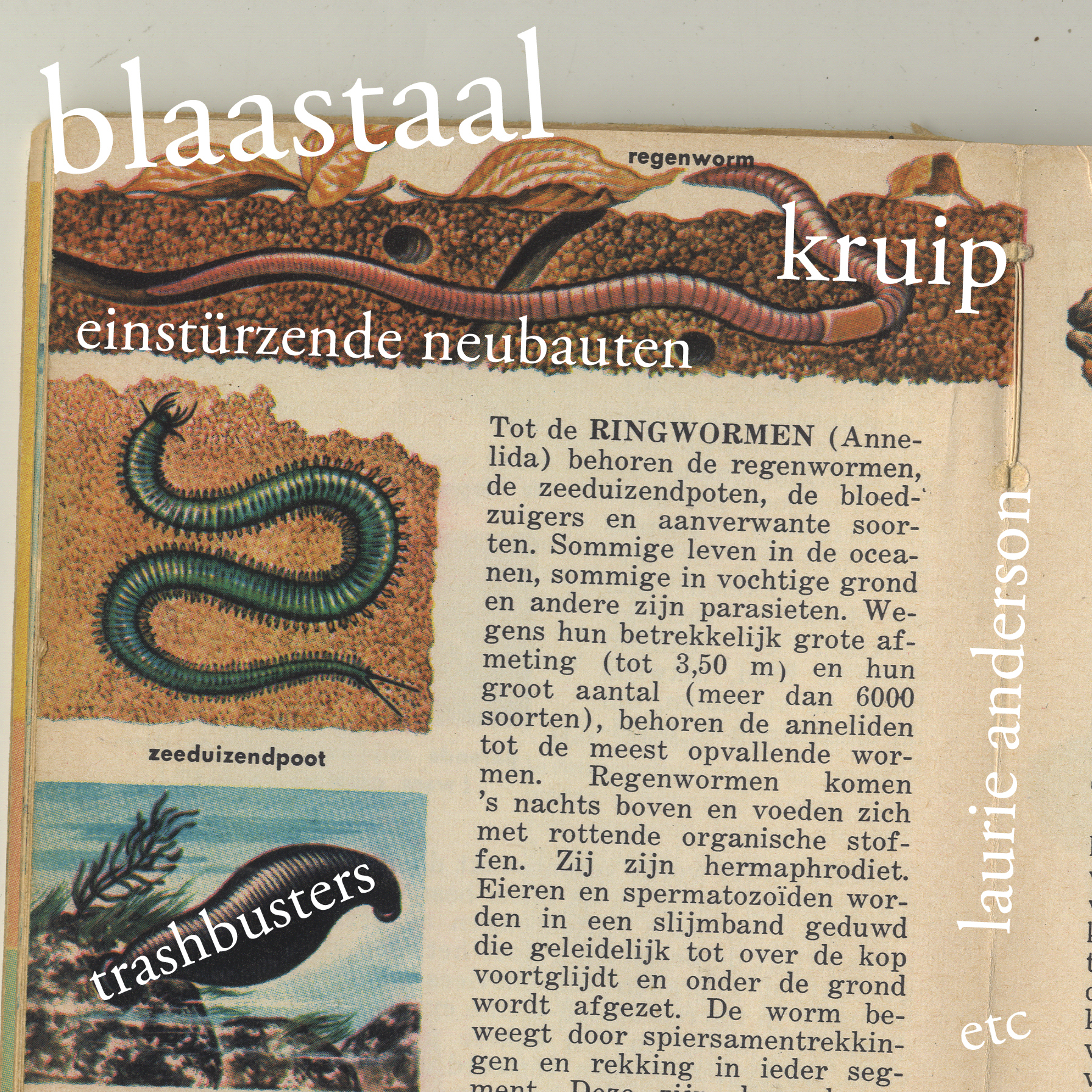 Blaastaal