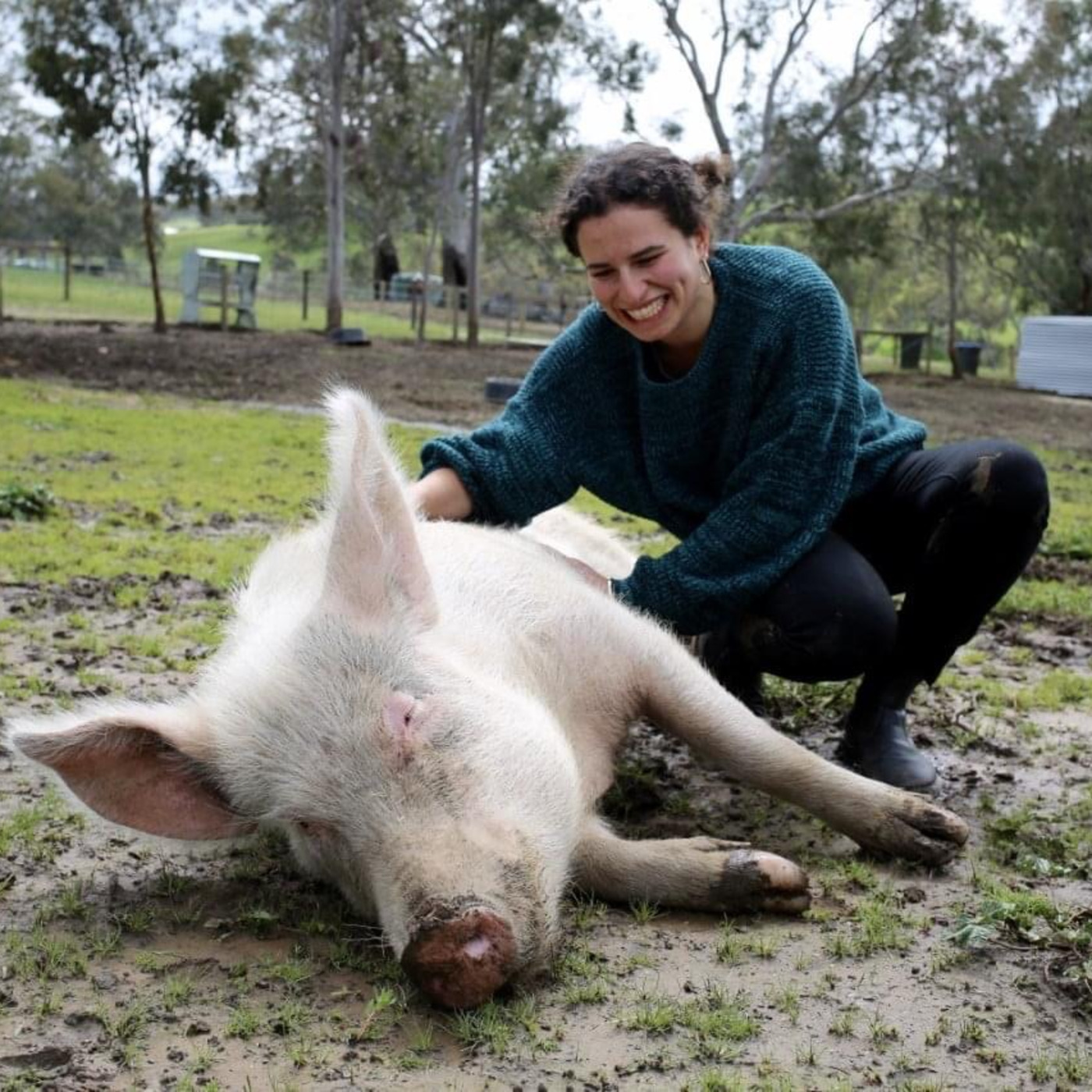Animal-Free Science Advocacy