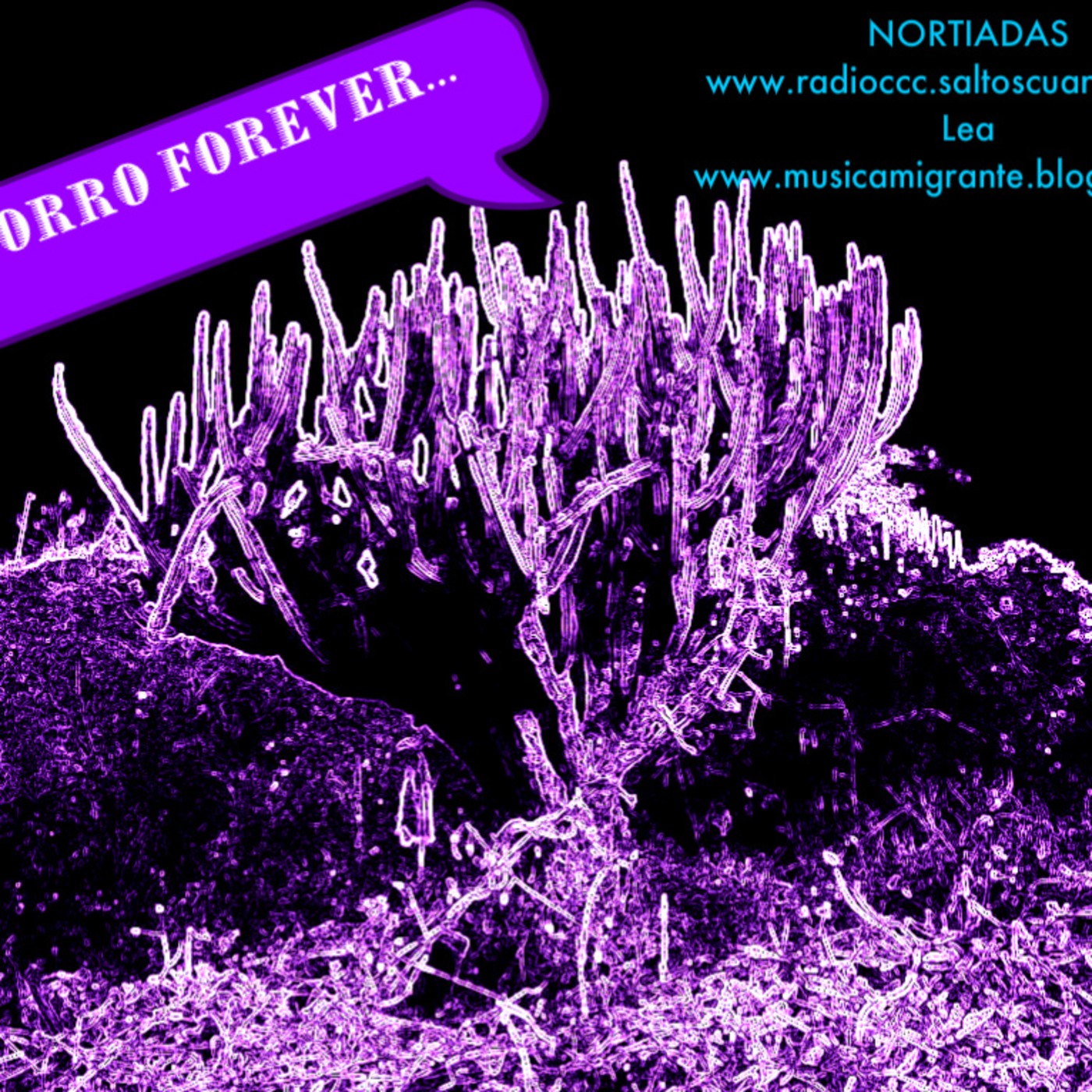 PIPORRO FOREVER episode artwork