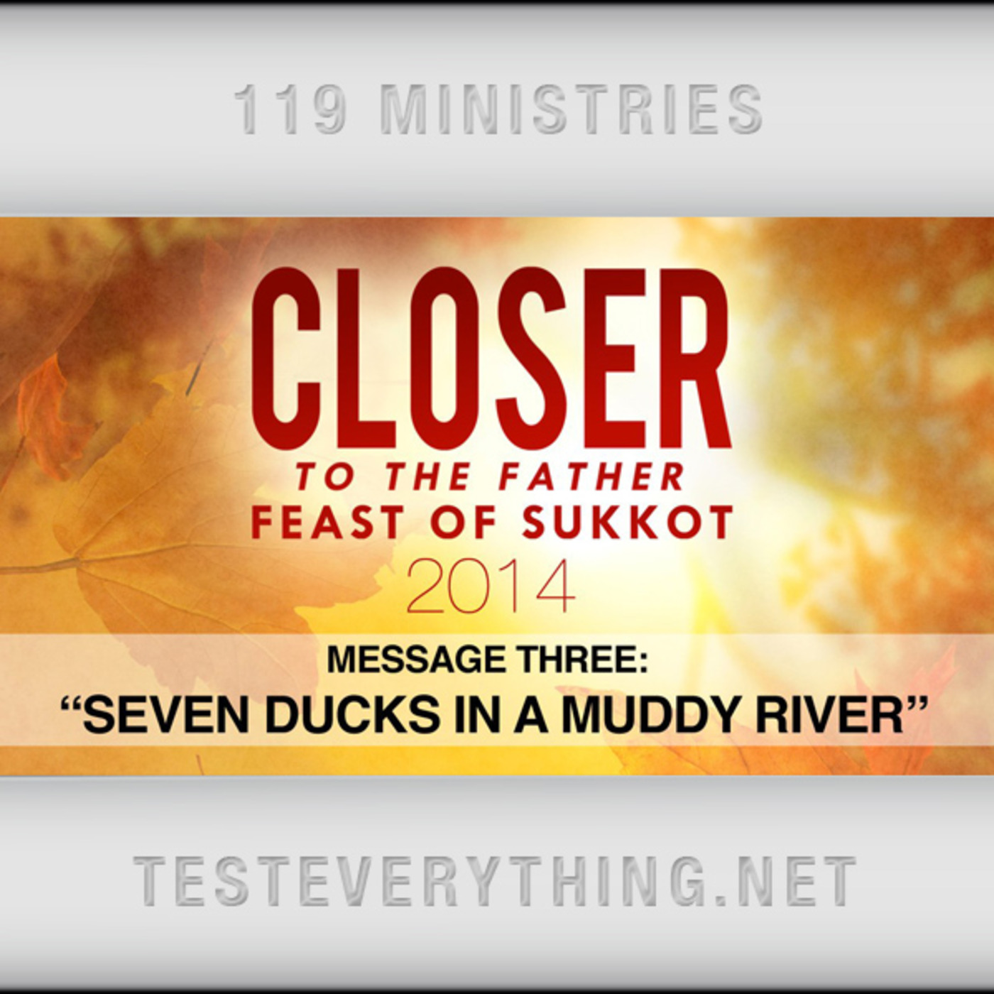 Messages: Closer to the Father 3 - Seven Ducks in a Muddy River