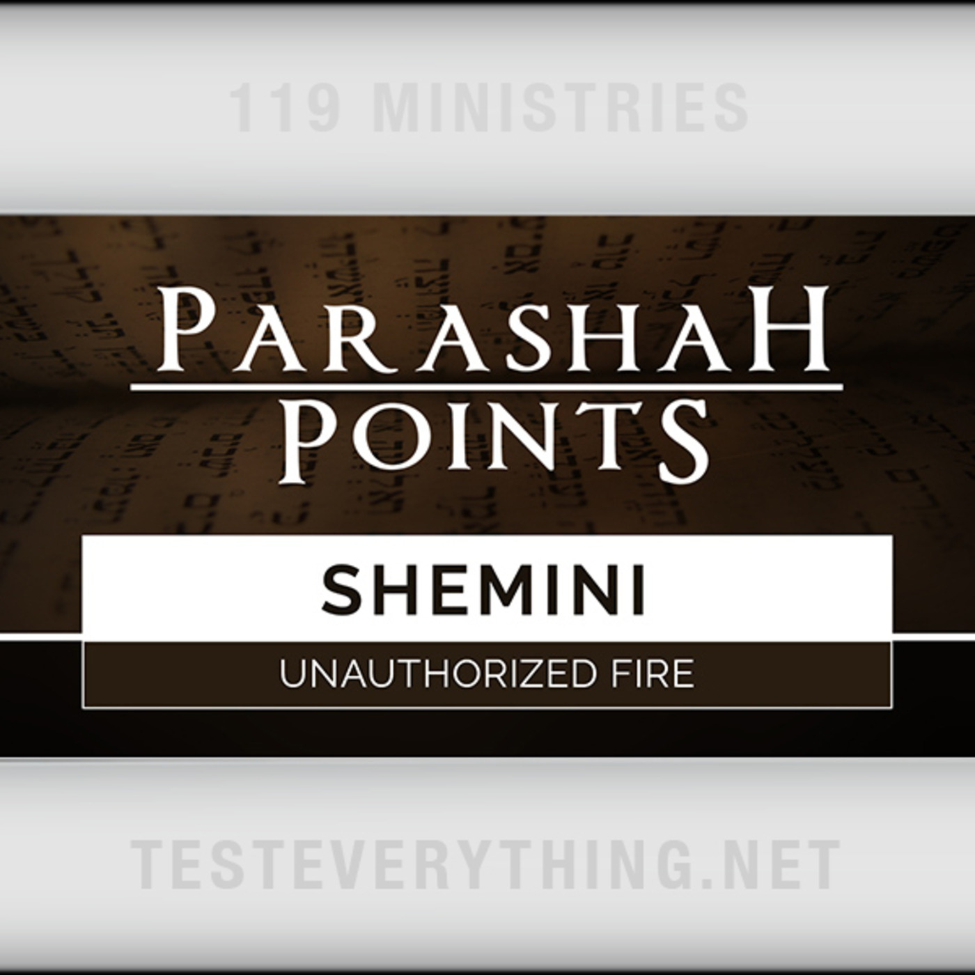 Parashah Points: Shemini - Unauthorized Fire