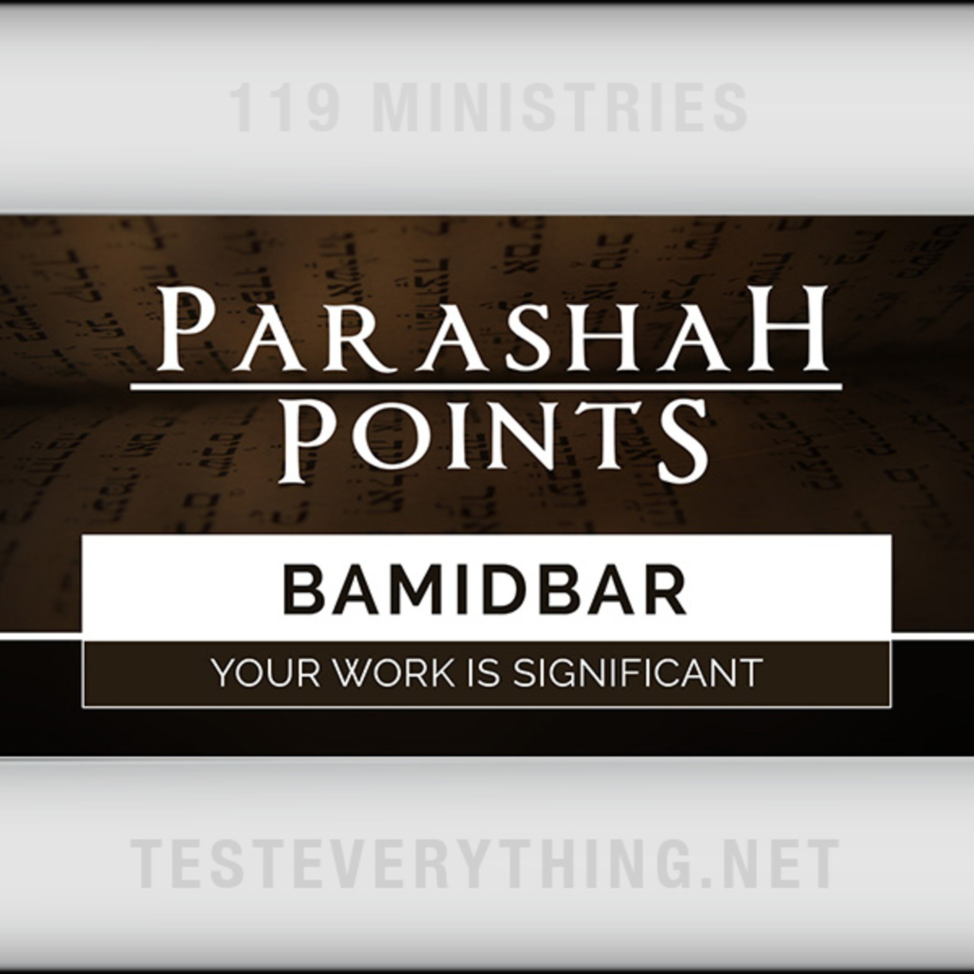 Parashah Points: Bamidbar - Your Work is Significant