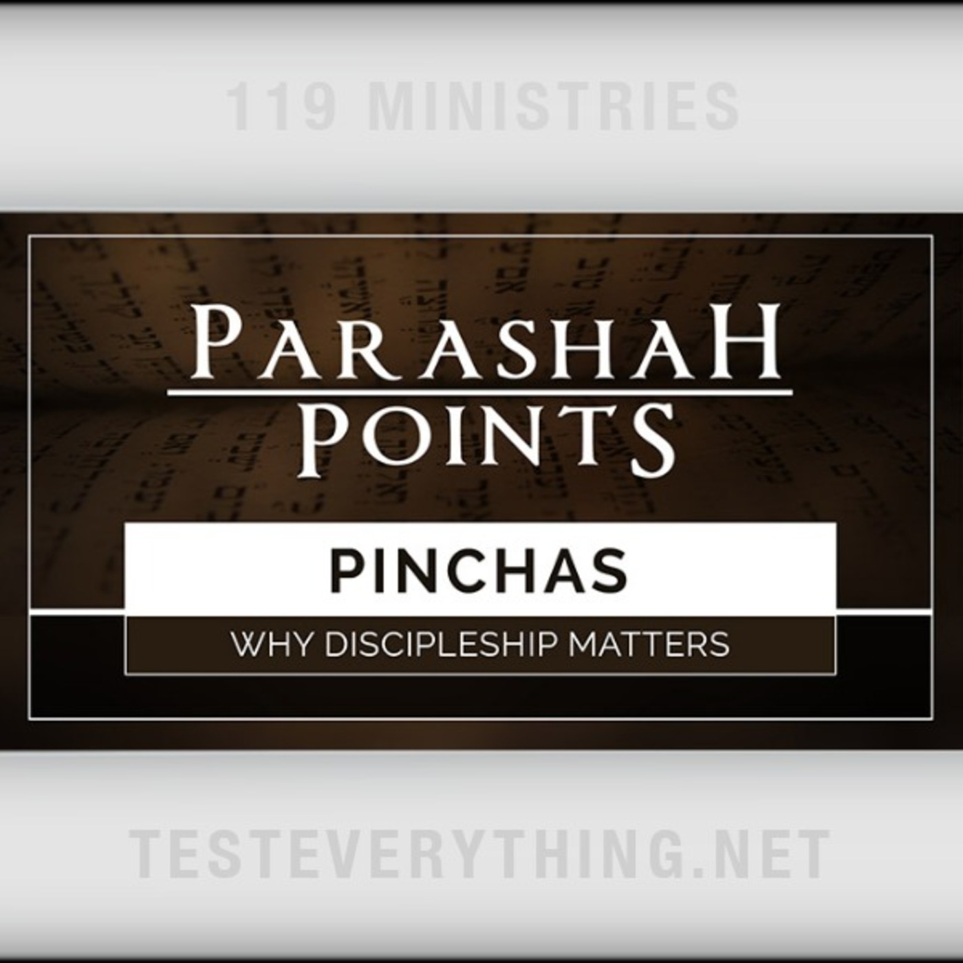 Parashah Points: Pinchas - Why Discipleship Matters